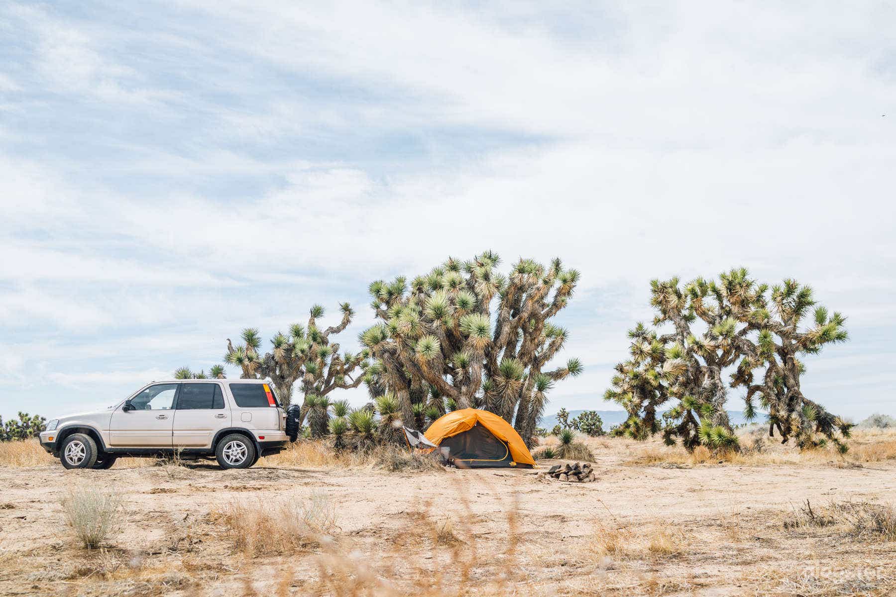 Joshua Tree Ranch Los Angeles Photo 1