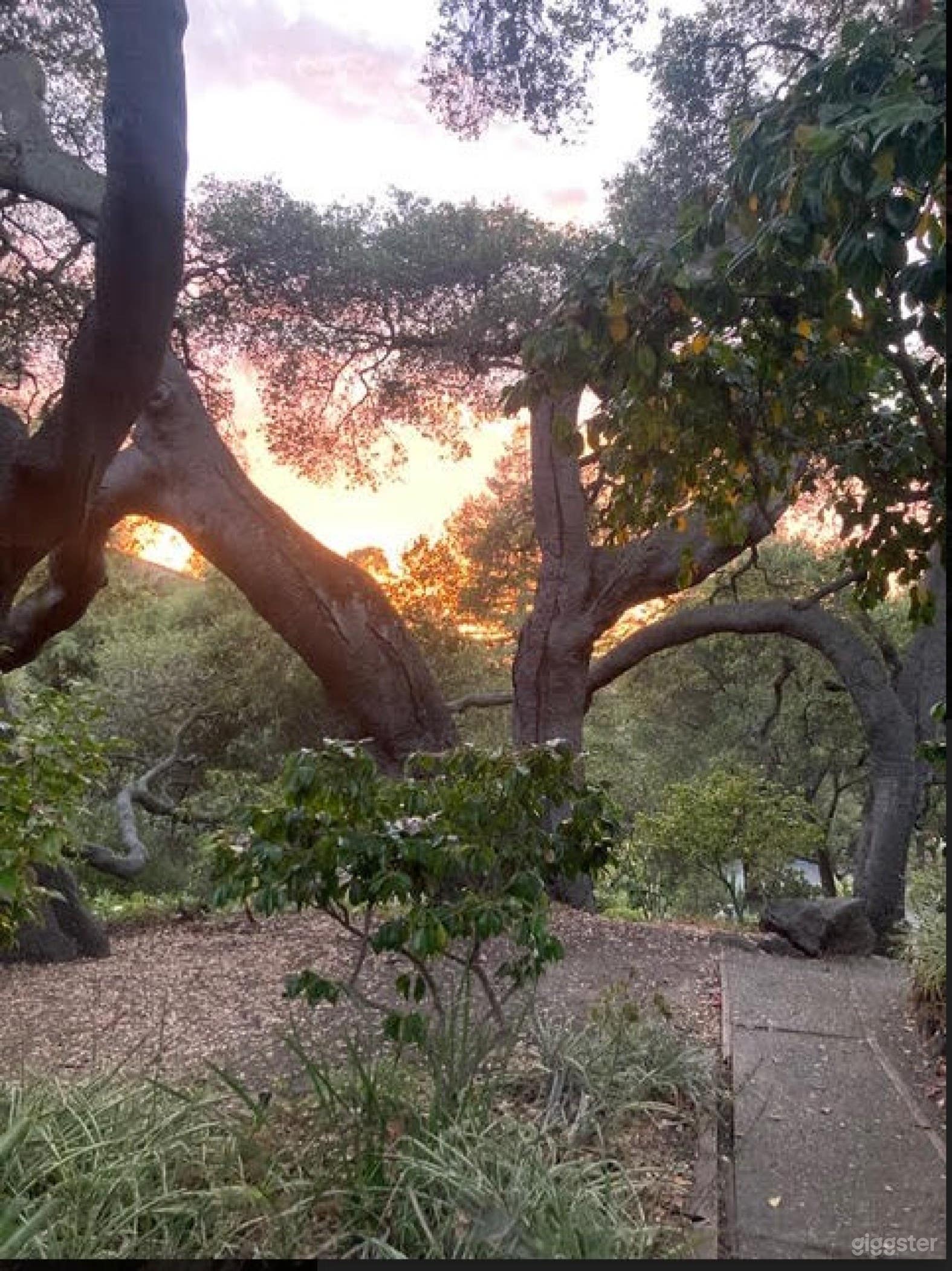 Exquisite Historical Estate (FULL BUY OUT) Photo 1