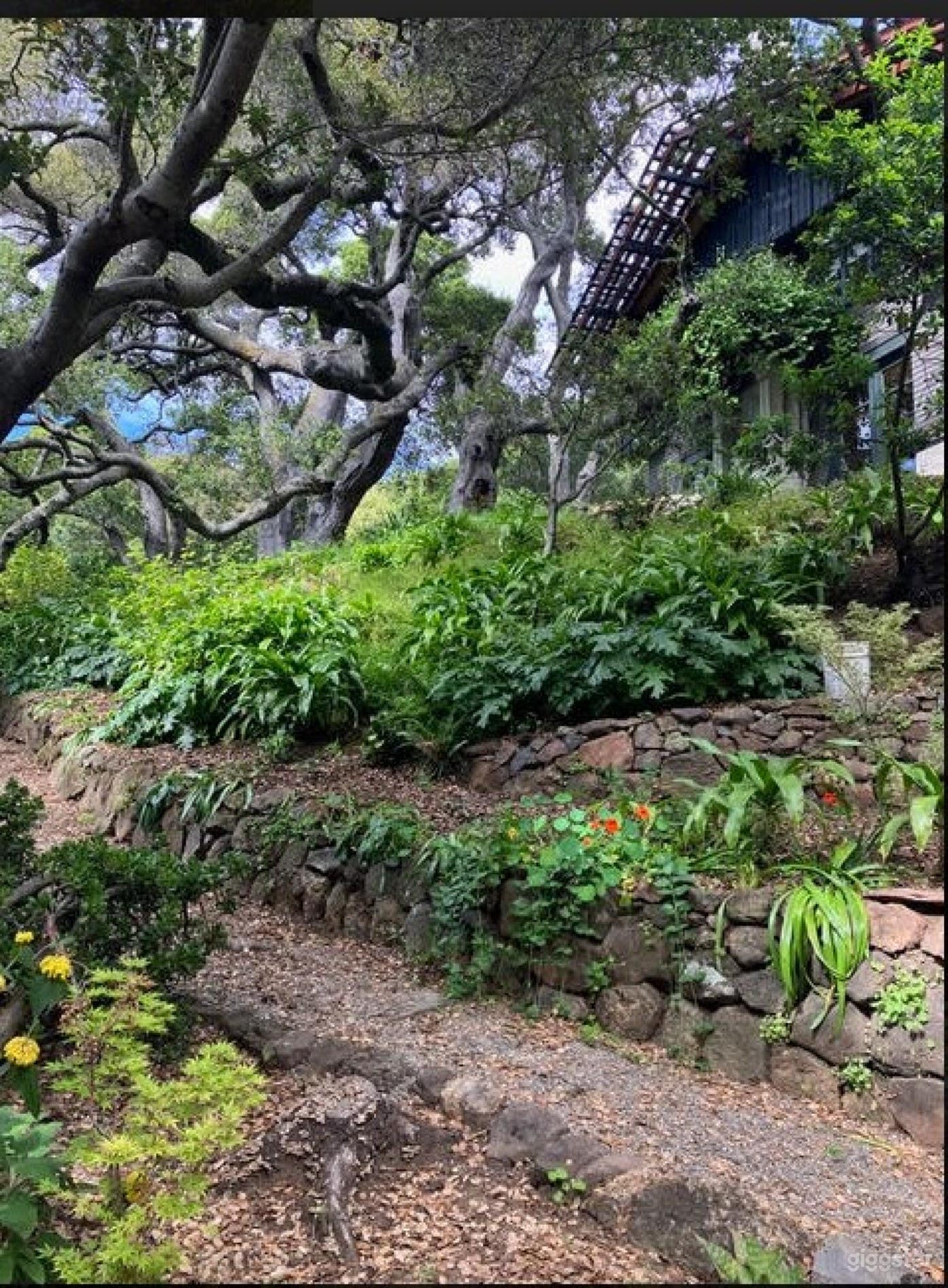 Exquisite Historical Estate (FULL BUY OUT) Photo 3