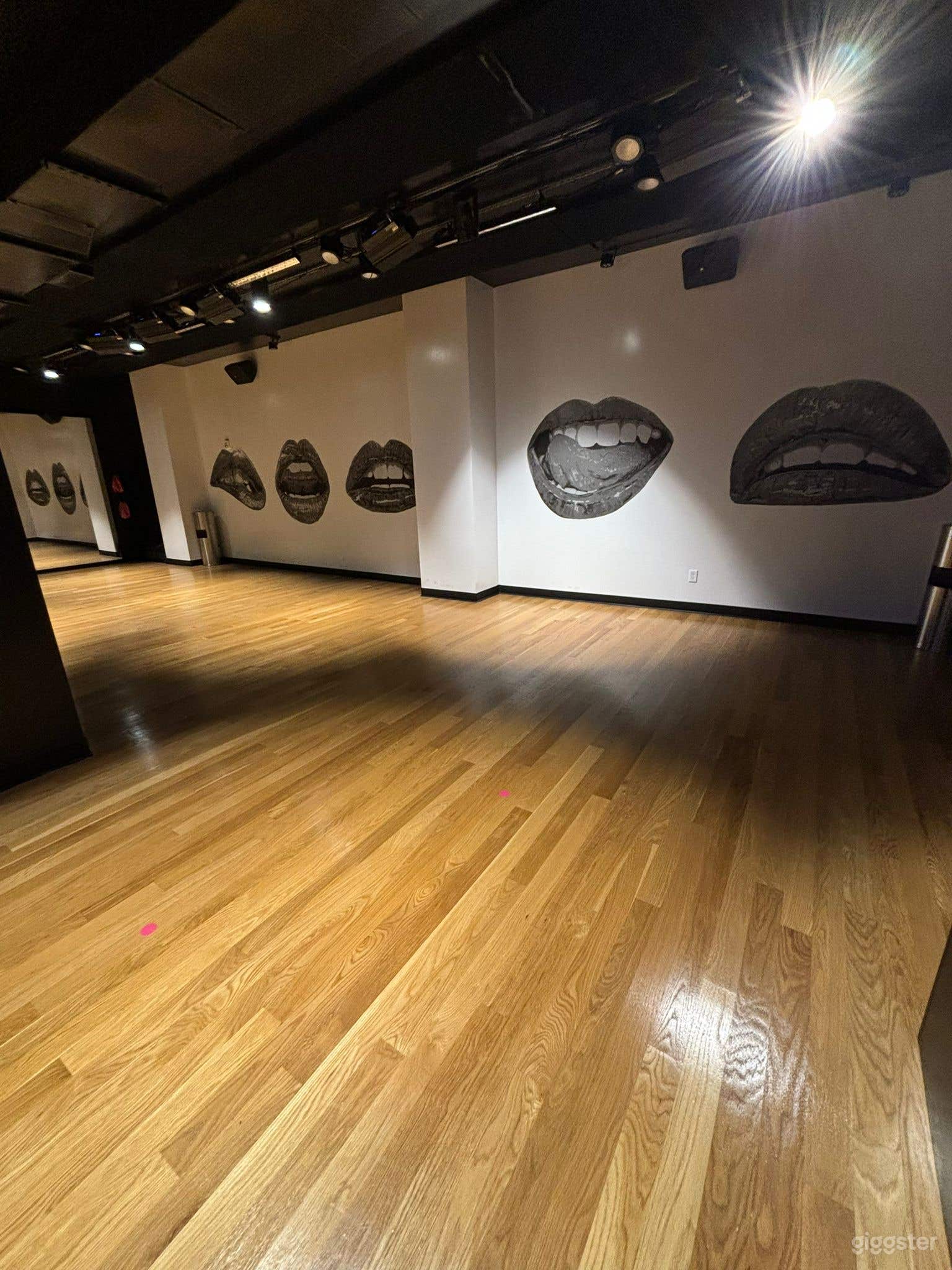 Beautiful Dance Fitness Studio Photo 2