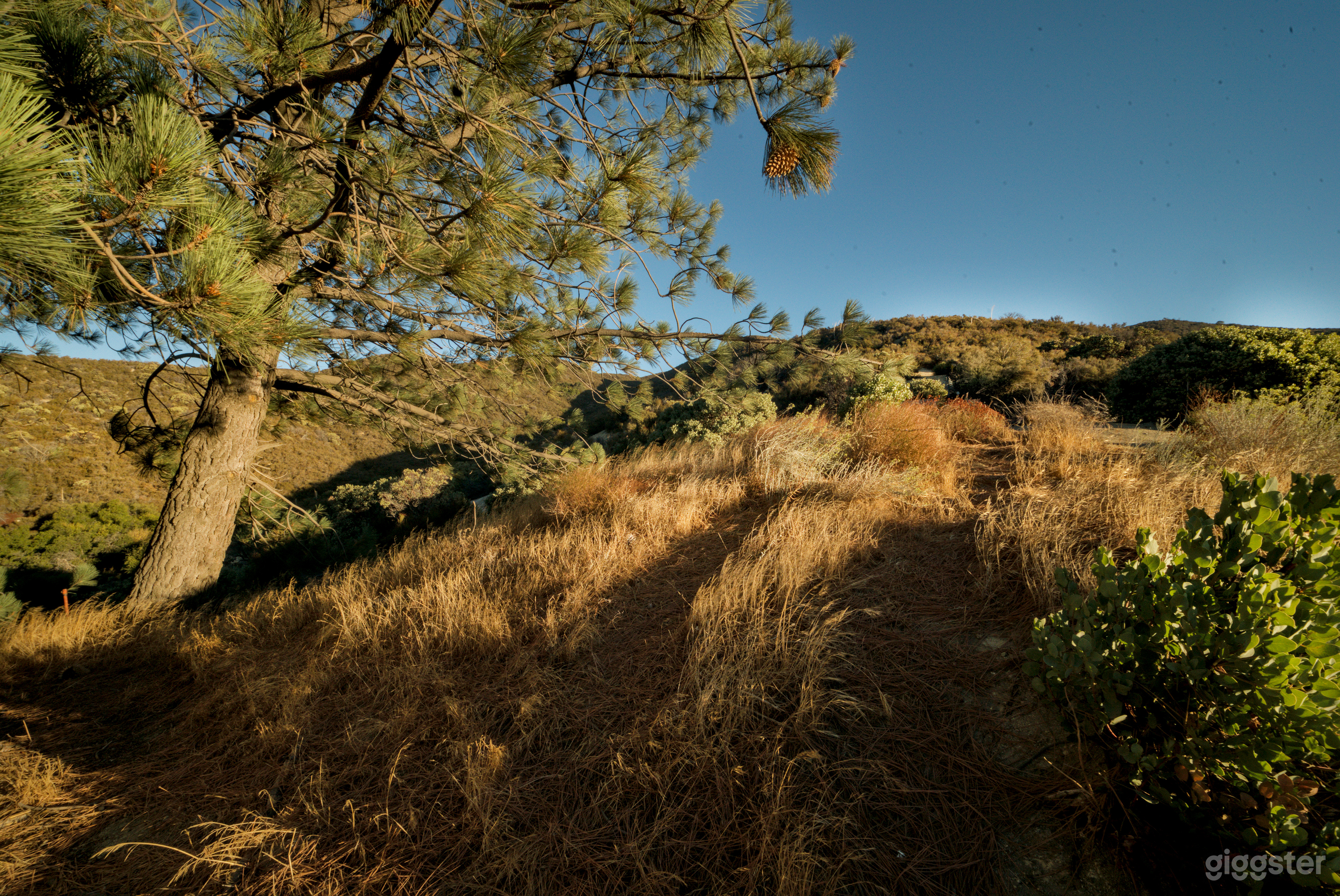 Ridge Overlook Desert Plateau– Scenic Mountain Film Backdrop Photo 4