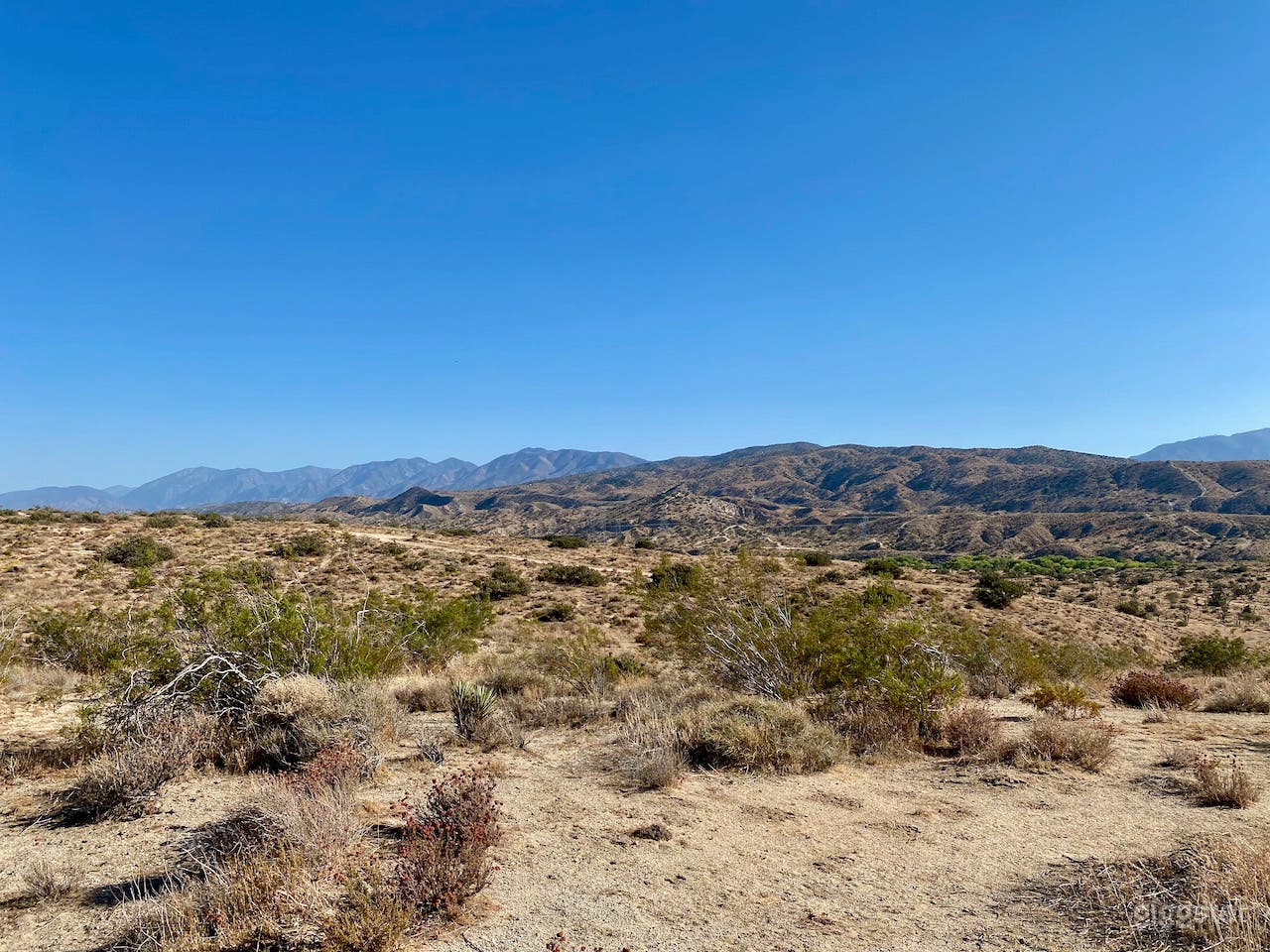 High Desert with Joshua Trees - 100 secluded acres Photo 4