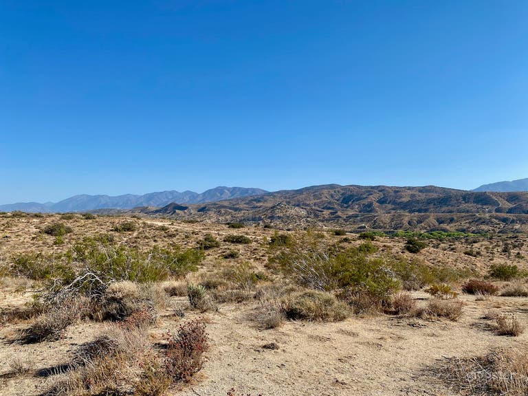  Joshua Tree Forest - 100ac of secluded high desert 