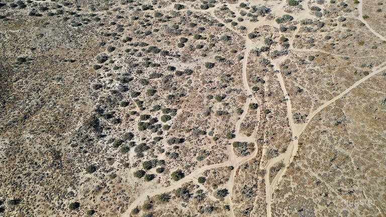  Joshua Tree Forest - 100ac of secluded high desert 