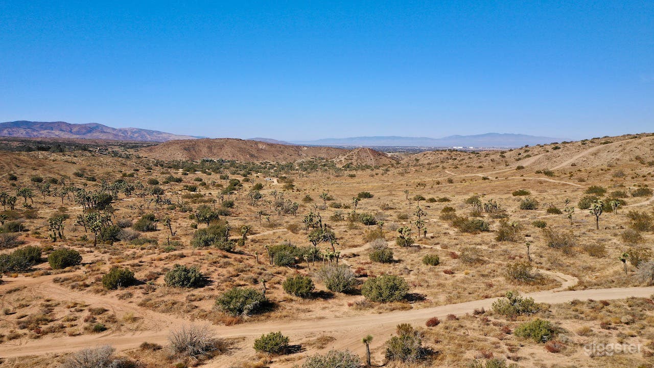 High Desert with Joshua Trees - 100 secluded acres Photo 2