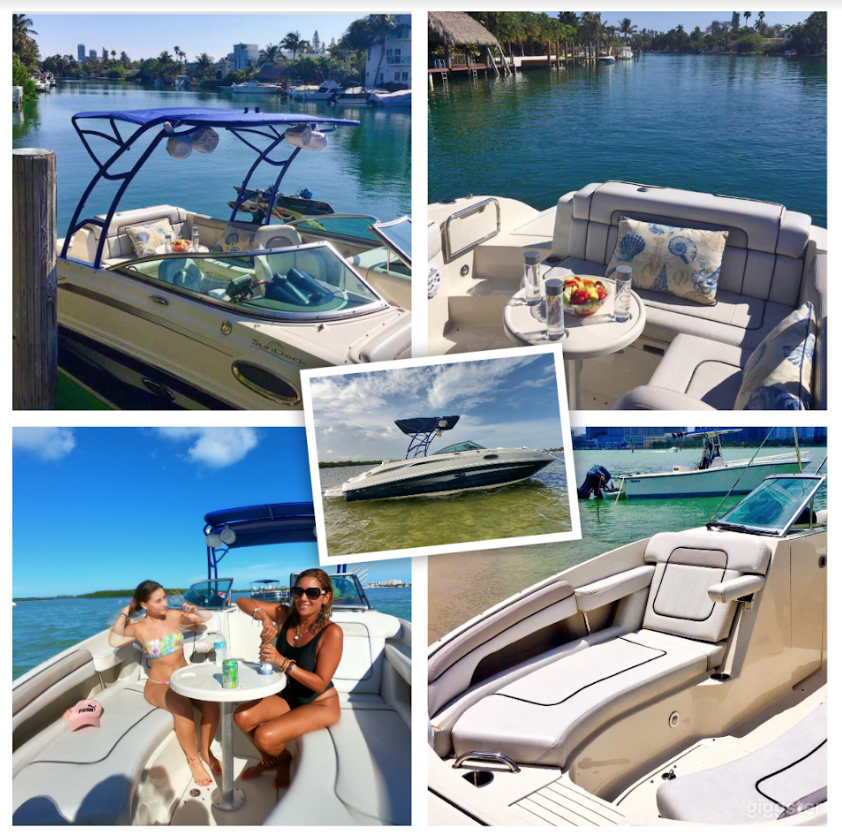 Homey 26FT Sea Ray Pelican Party Boat Space Events Photo 4