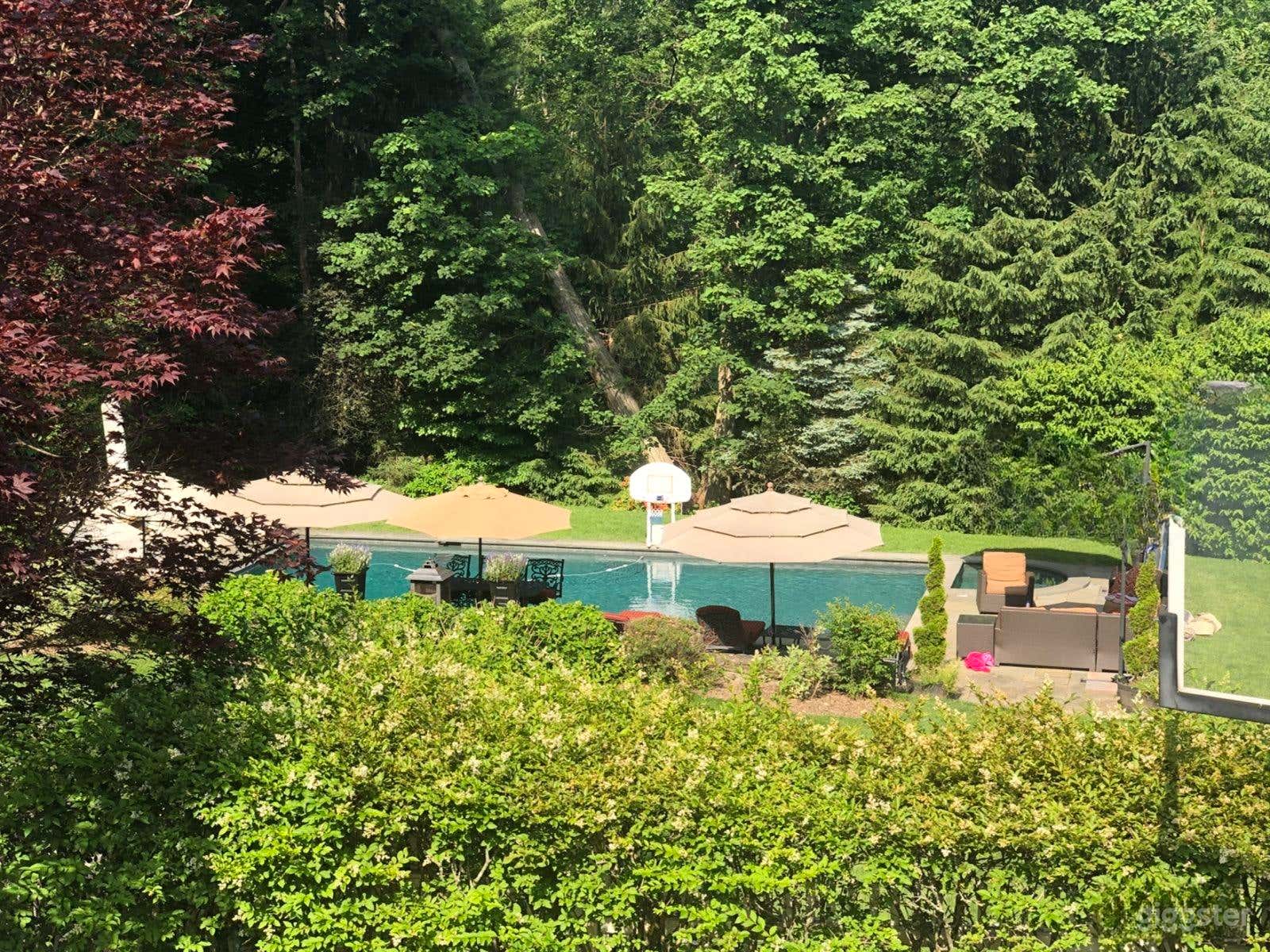 Elegant Colonial Backyard Oasis Photo 1