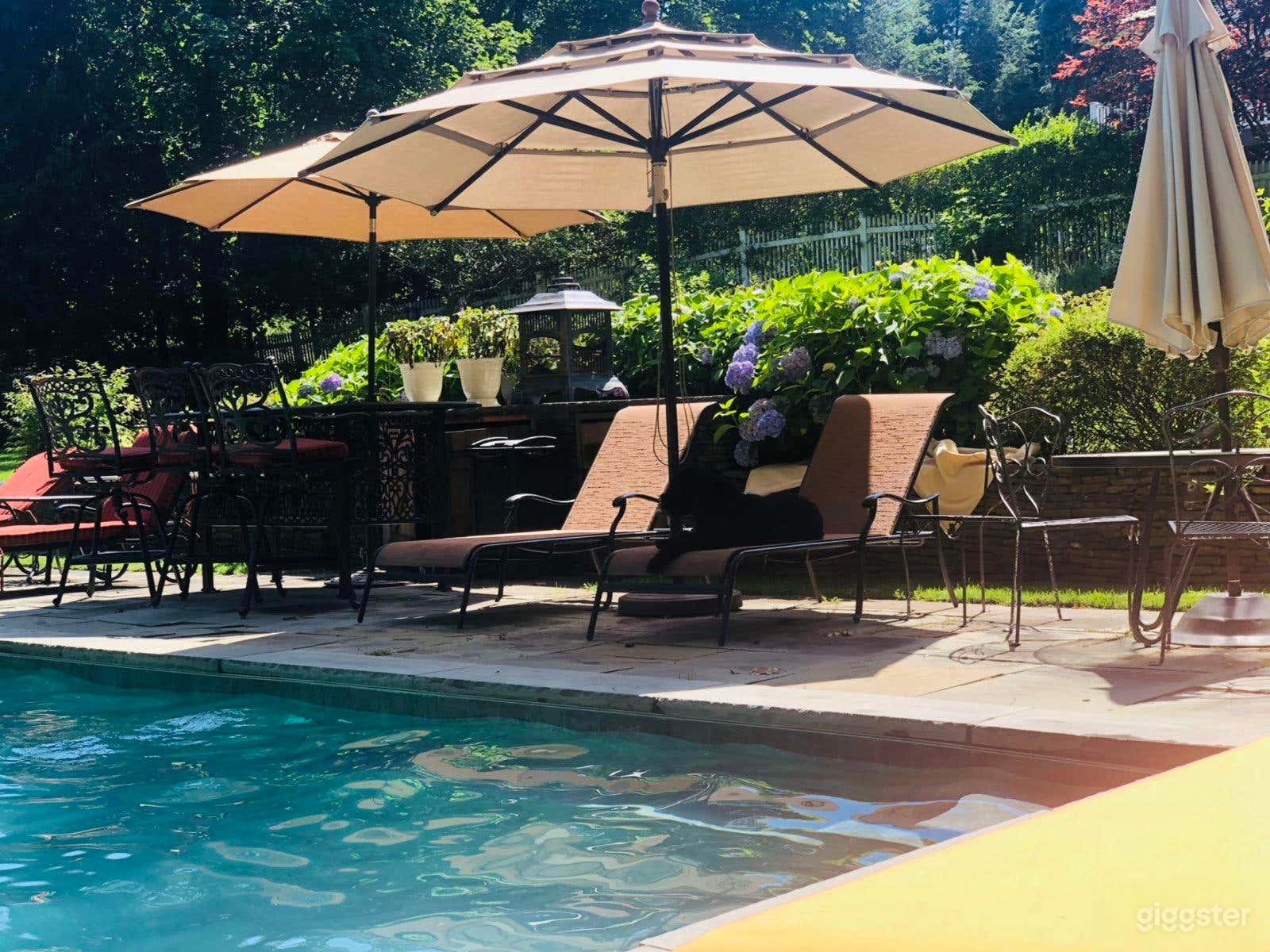 Elegant Colonial Backyard Oasis Photo 3