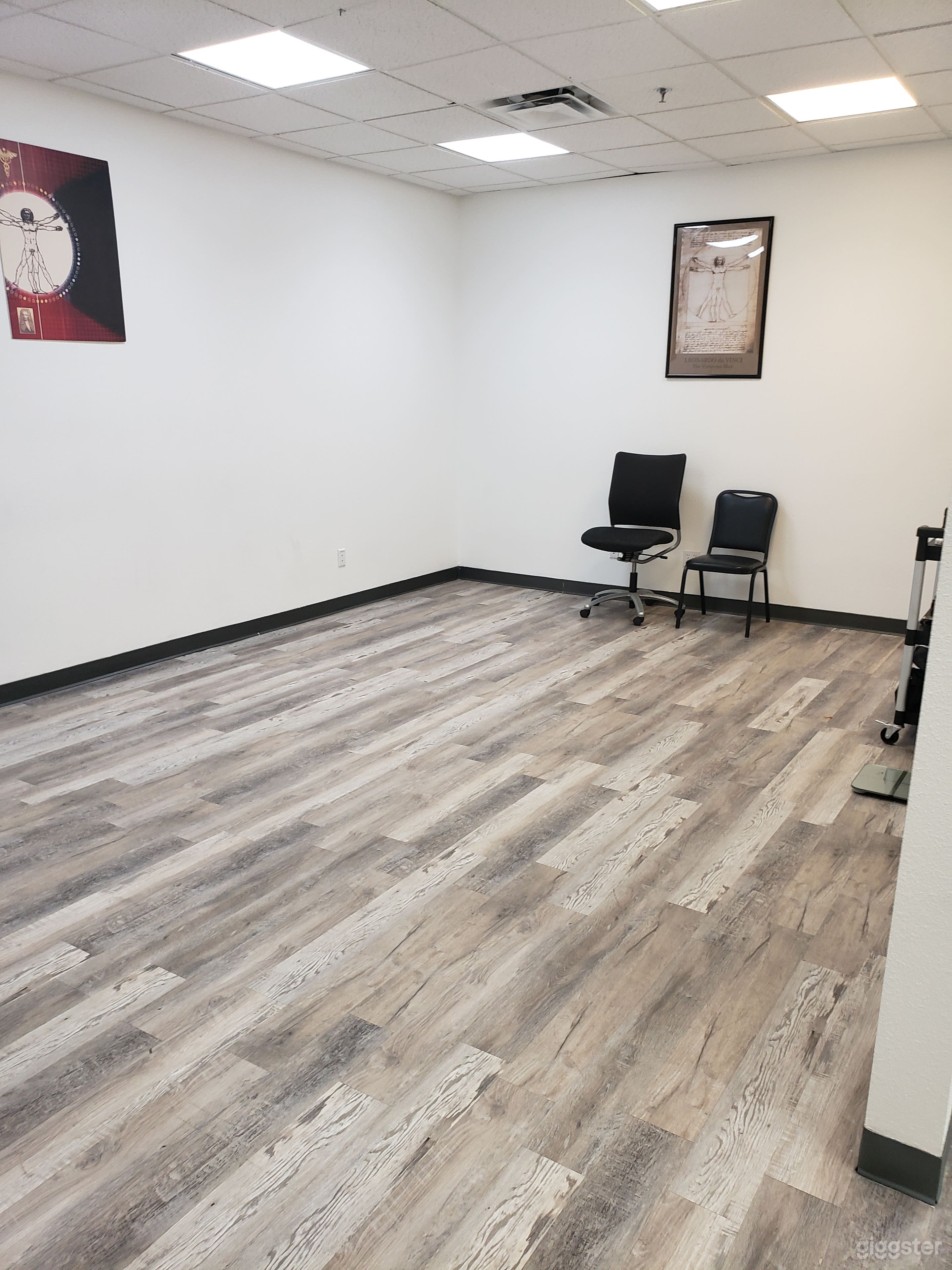 Private Gym and Office space Photo 4