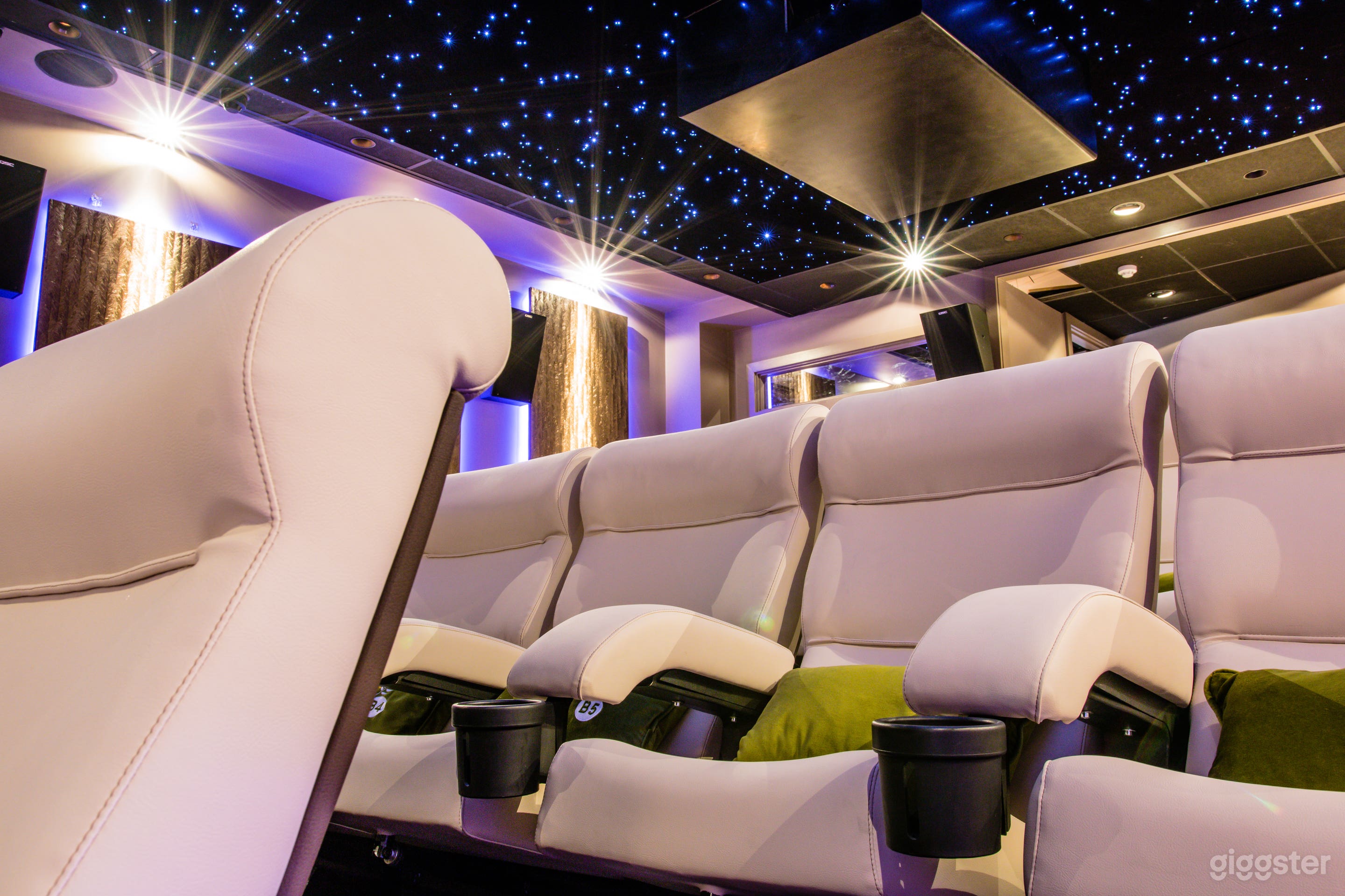 Luxury Cinema Photo 3