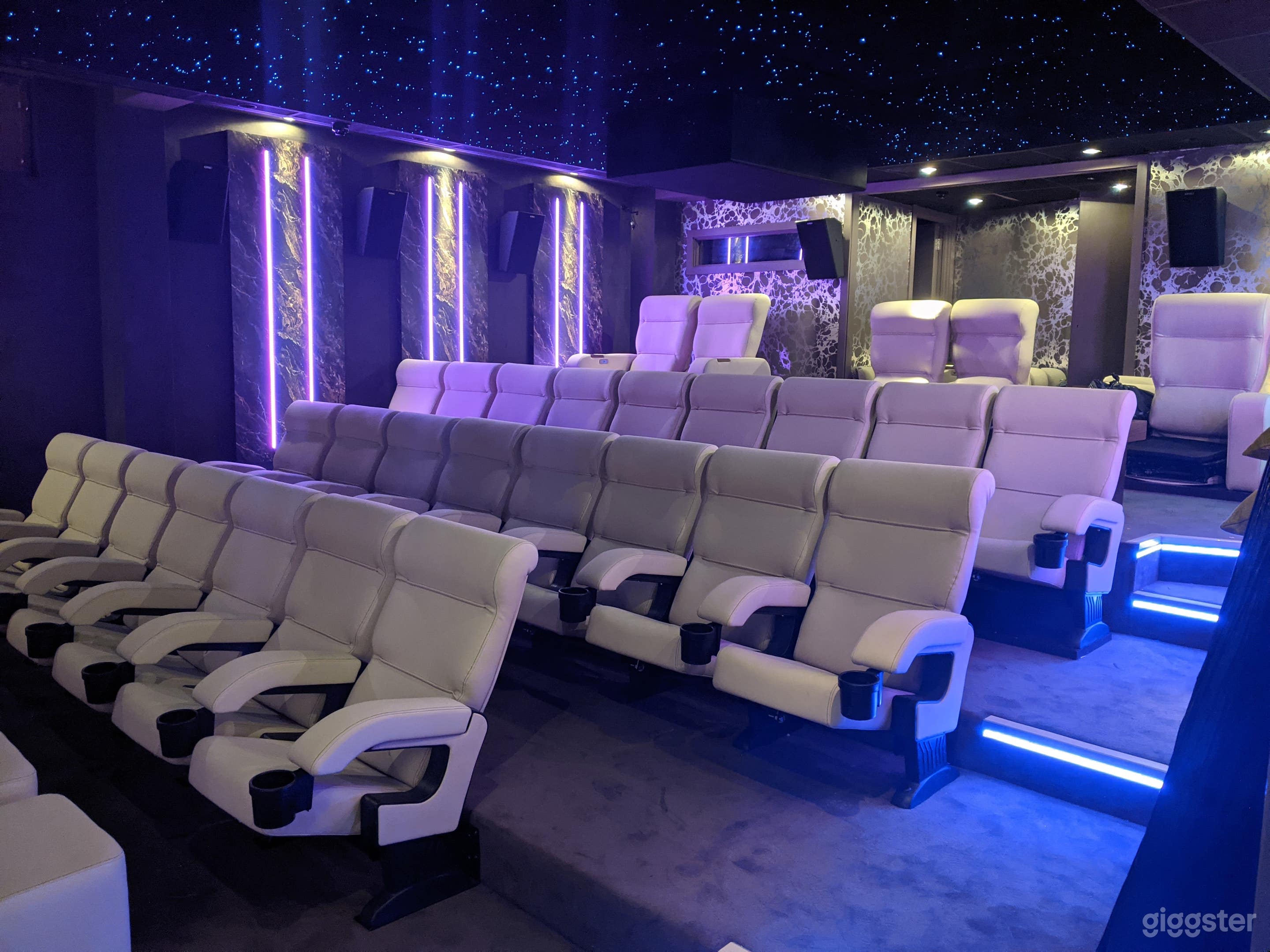 Luxury Cinema Photo 2