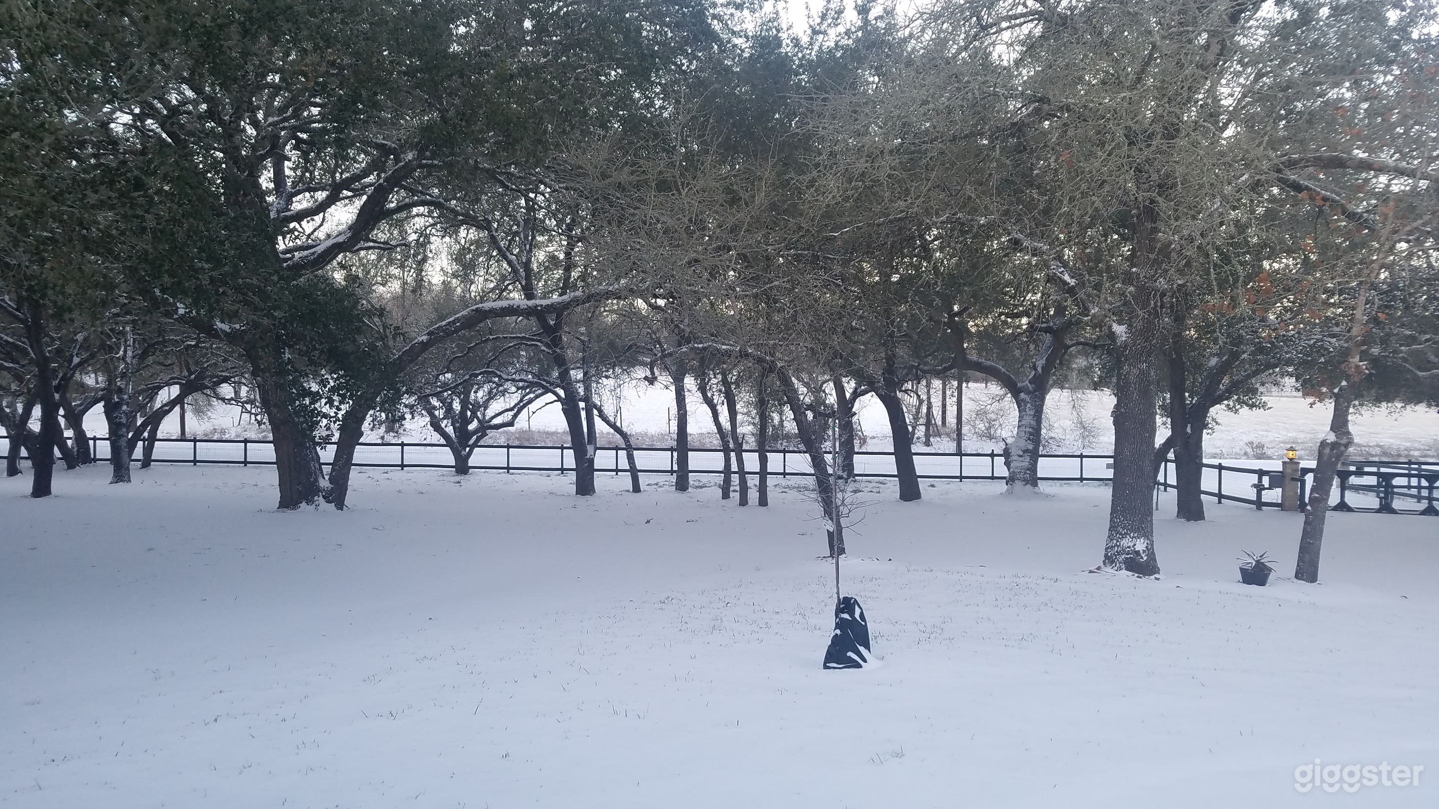 Front area with lots of trees and country fence.  Snow day