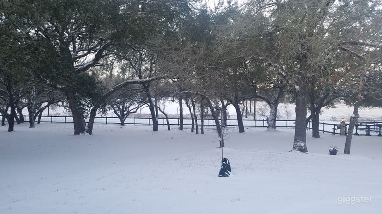  Front area with lots of trees and country fence.  Snow day 