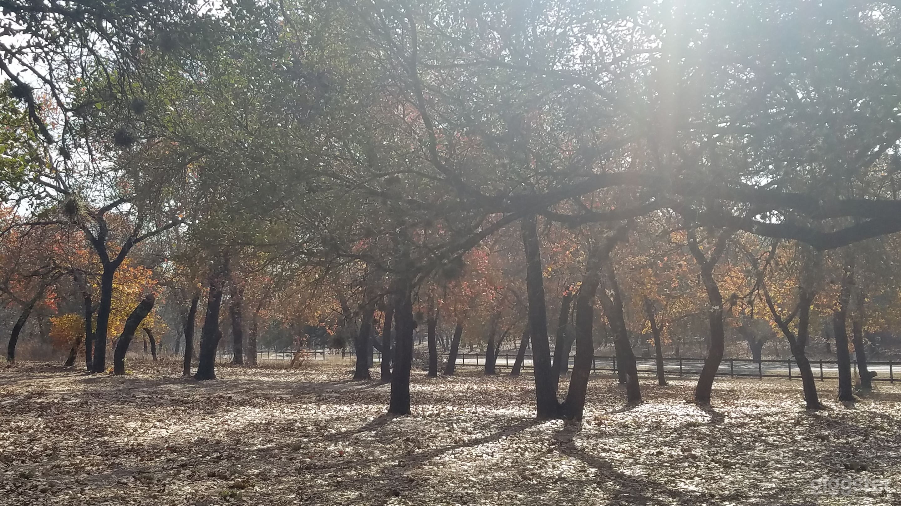 Beautiful fall picture of property