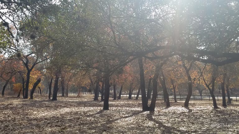  Beautiful fall picture of property 