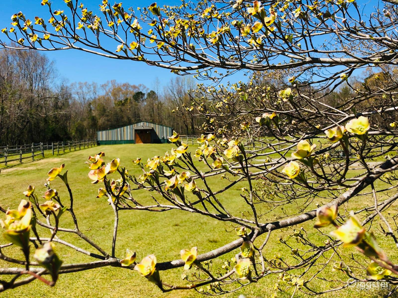 Spacious and Well-maintained Barn for 150pax Photo 2