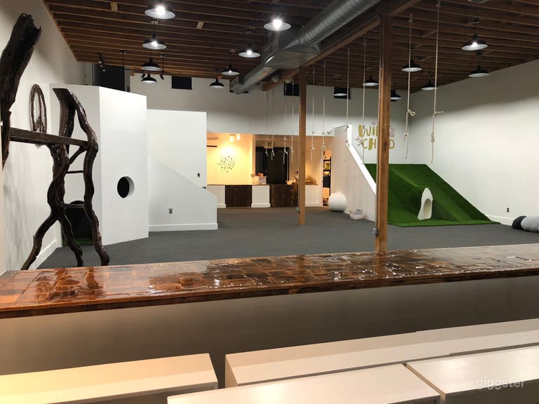  Another view of Main Space showing hill, tunnel, climbing trees and cave. 