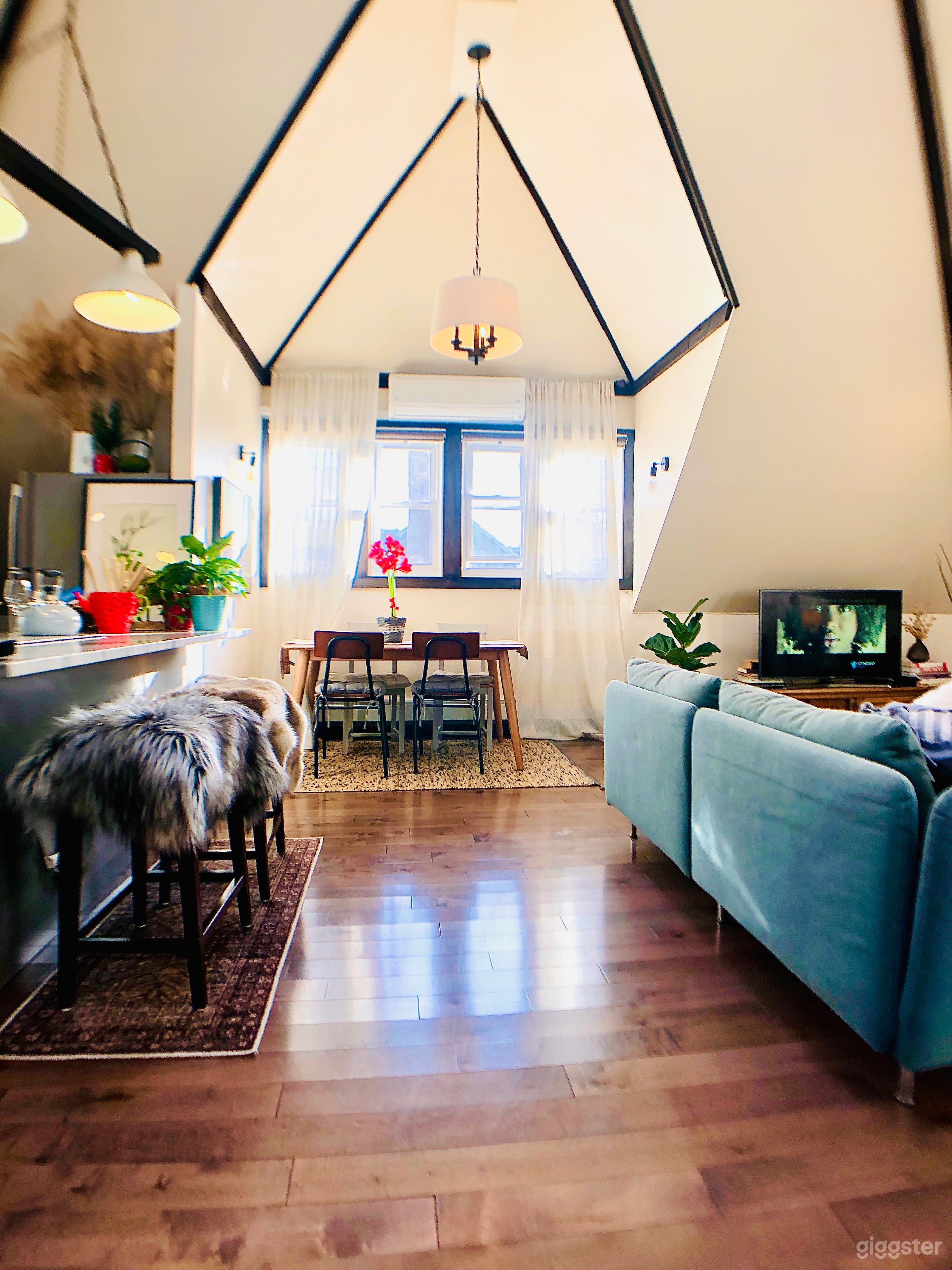 Ditmas Park Beauty/skylights/open concept/bright Photo 4