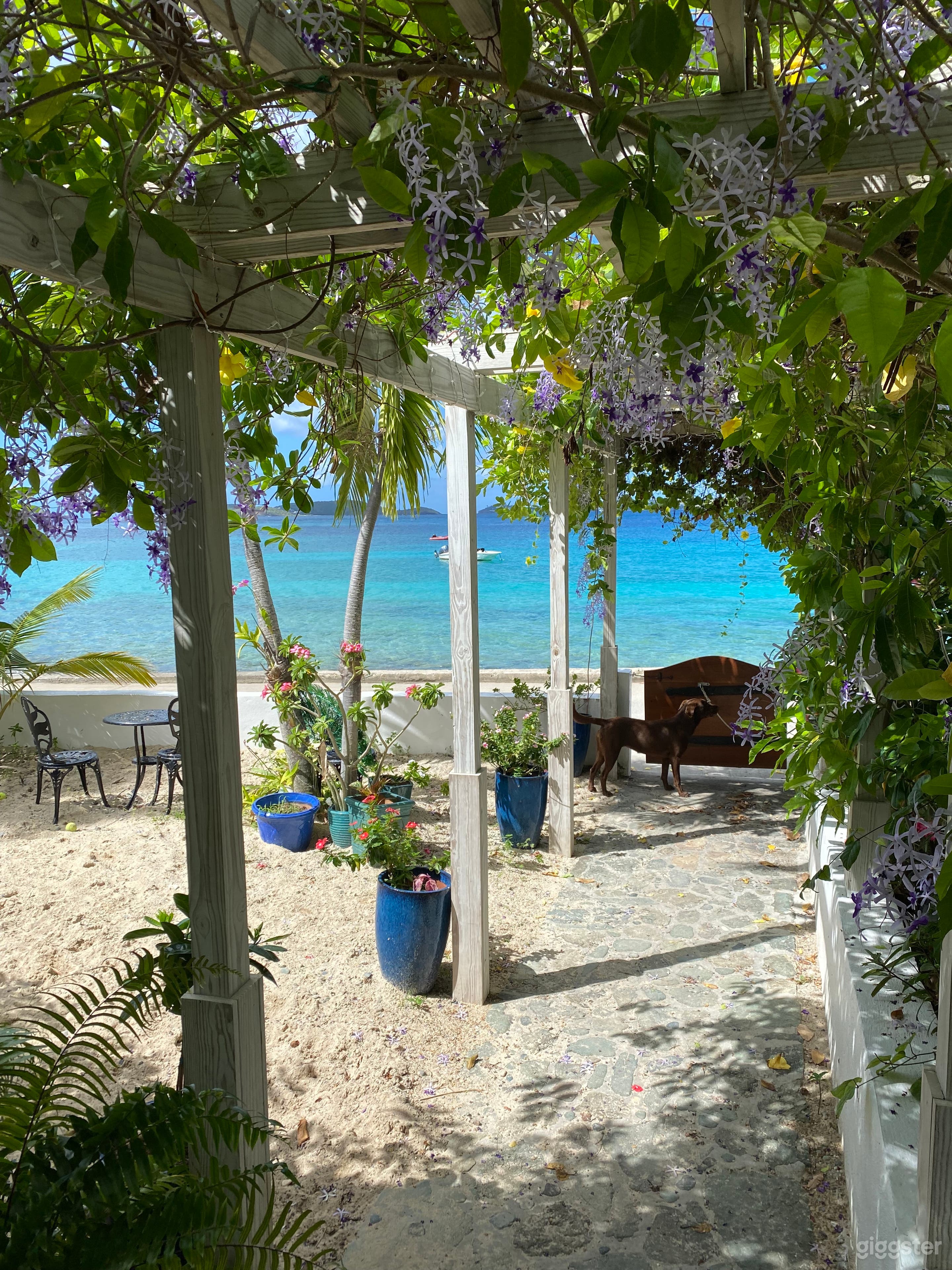 Art Gallery meets Beach Cottage Photo 2