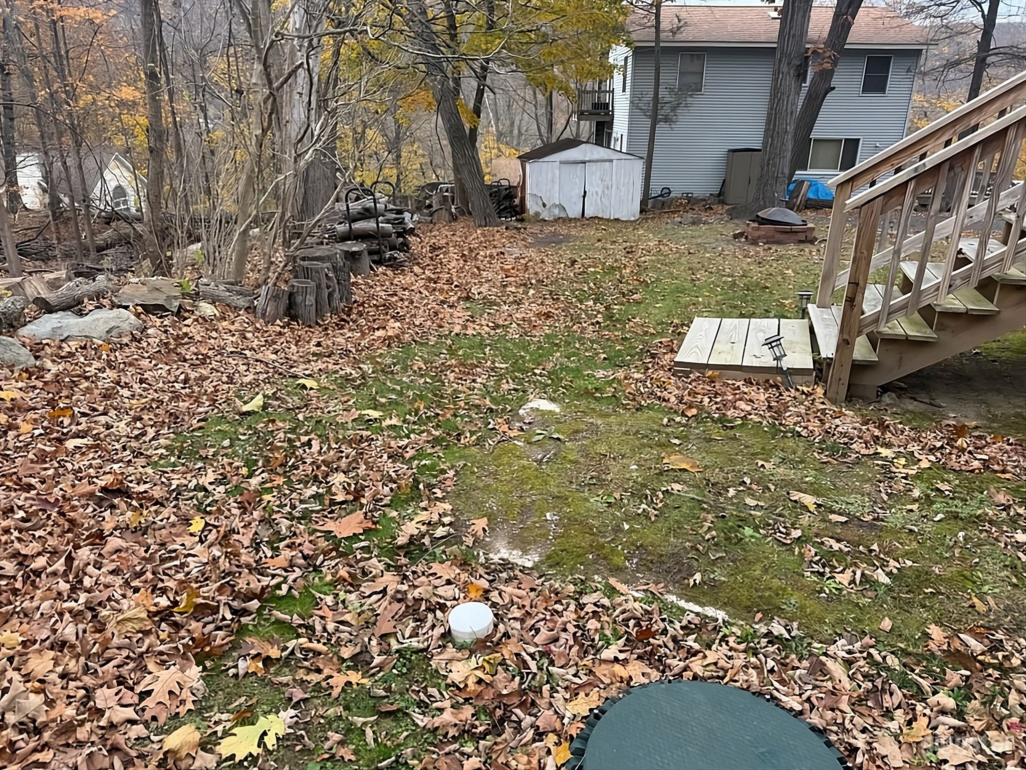 Rustic Woodland Backyard Retreat Photo 3