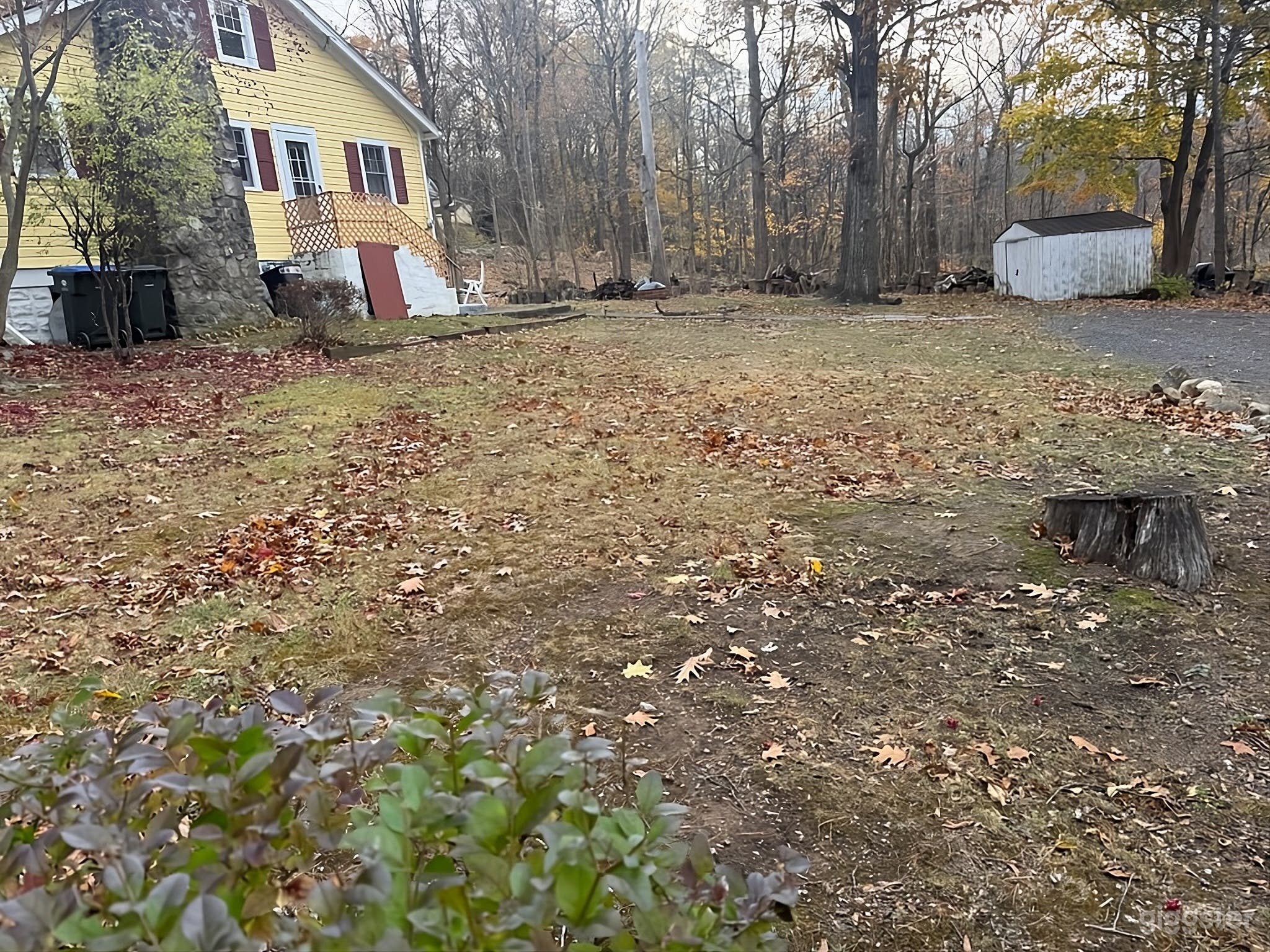 Rustic Woodland Backyard Retreat Photo 4