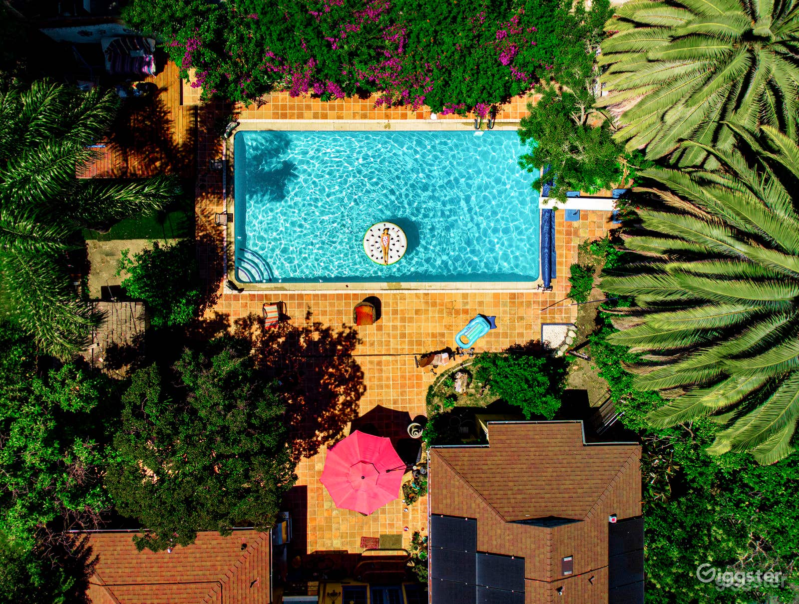 Tropical pool in Hollywood Photo 1