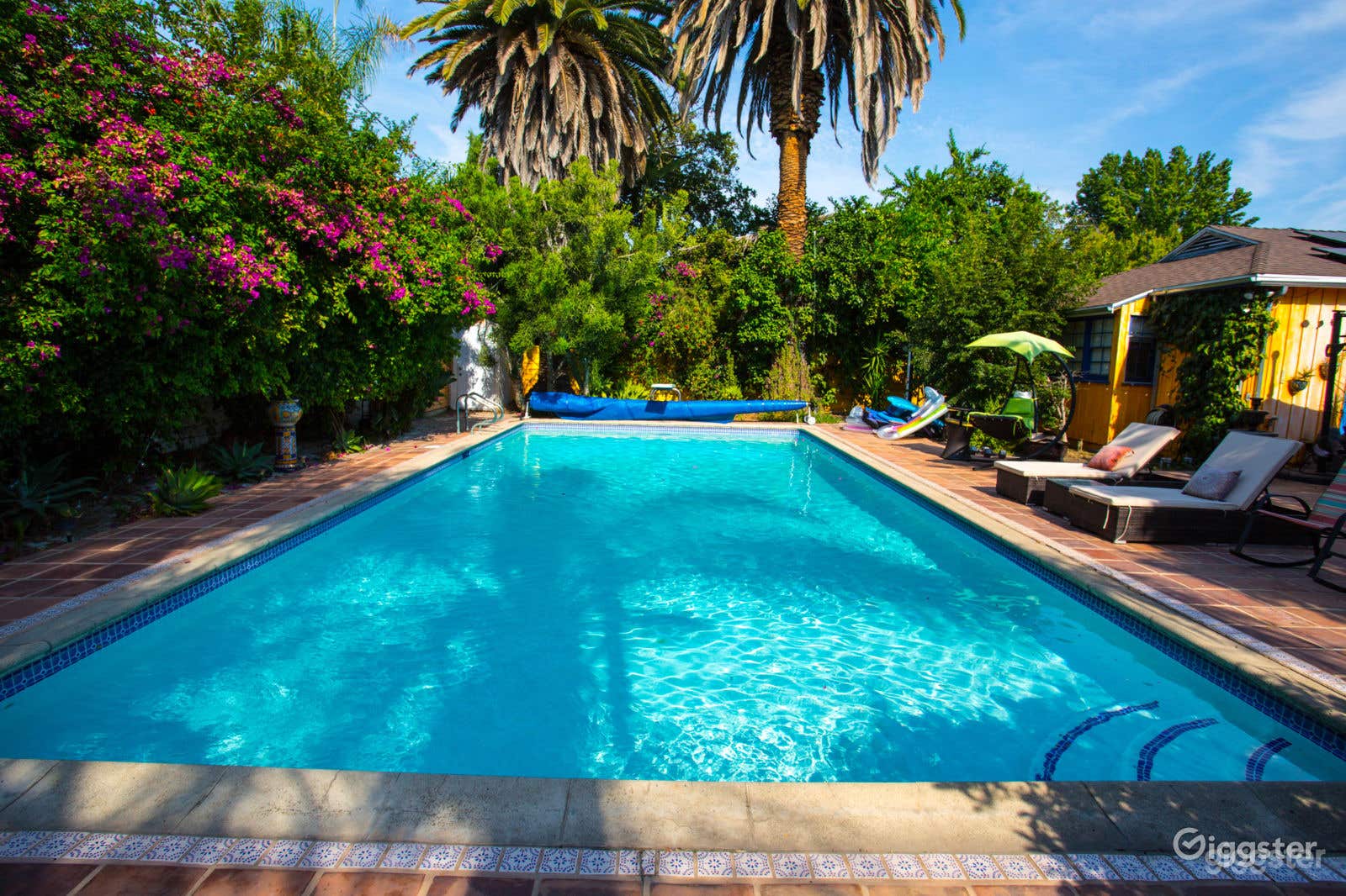 Tropical pool in Hollywood Photo 3