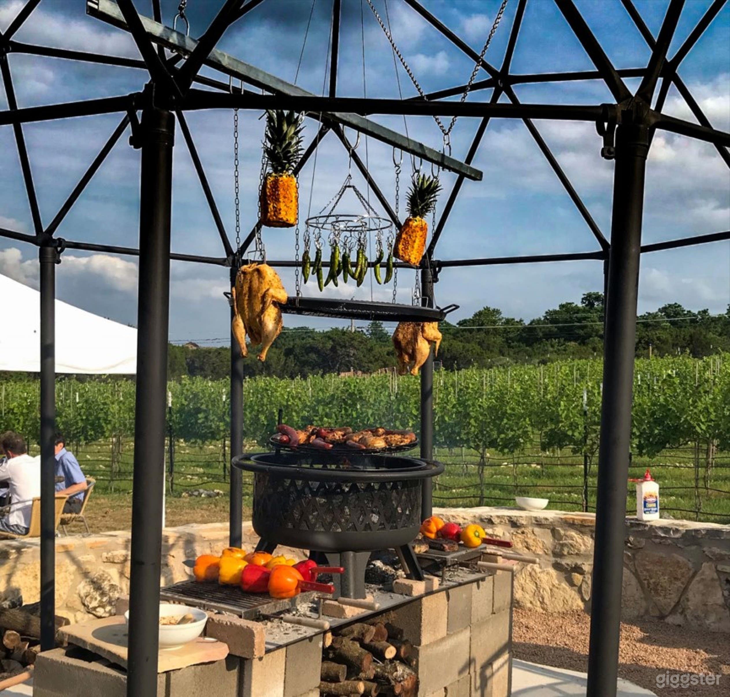 Vineyard Estates ATX Photo 2