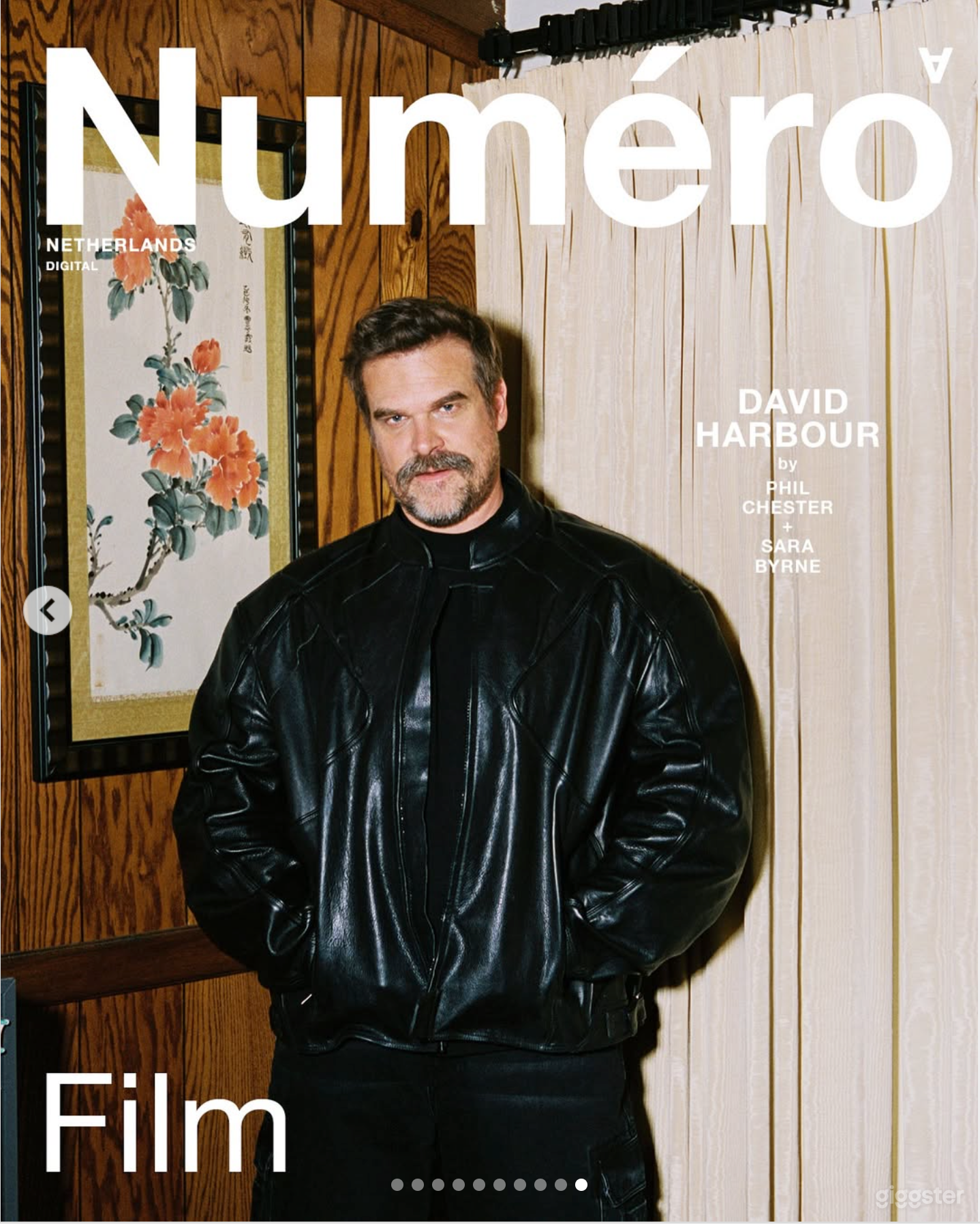 This house (and David Harbour) are featured in Numero Magazine's May 2025 issue. Photography by Phil Chester... and booked through Giggster!