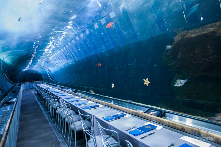  Full Aquarium Buyout 