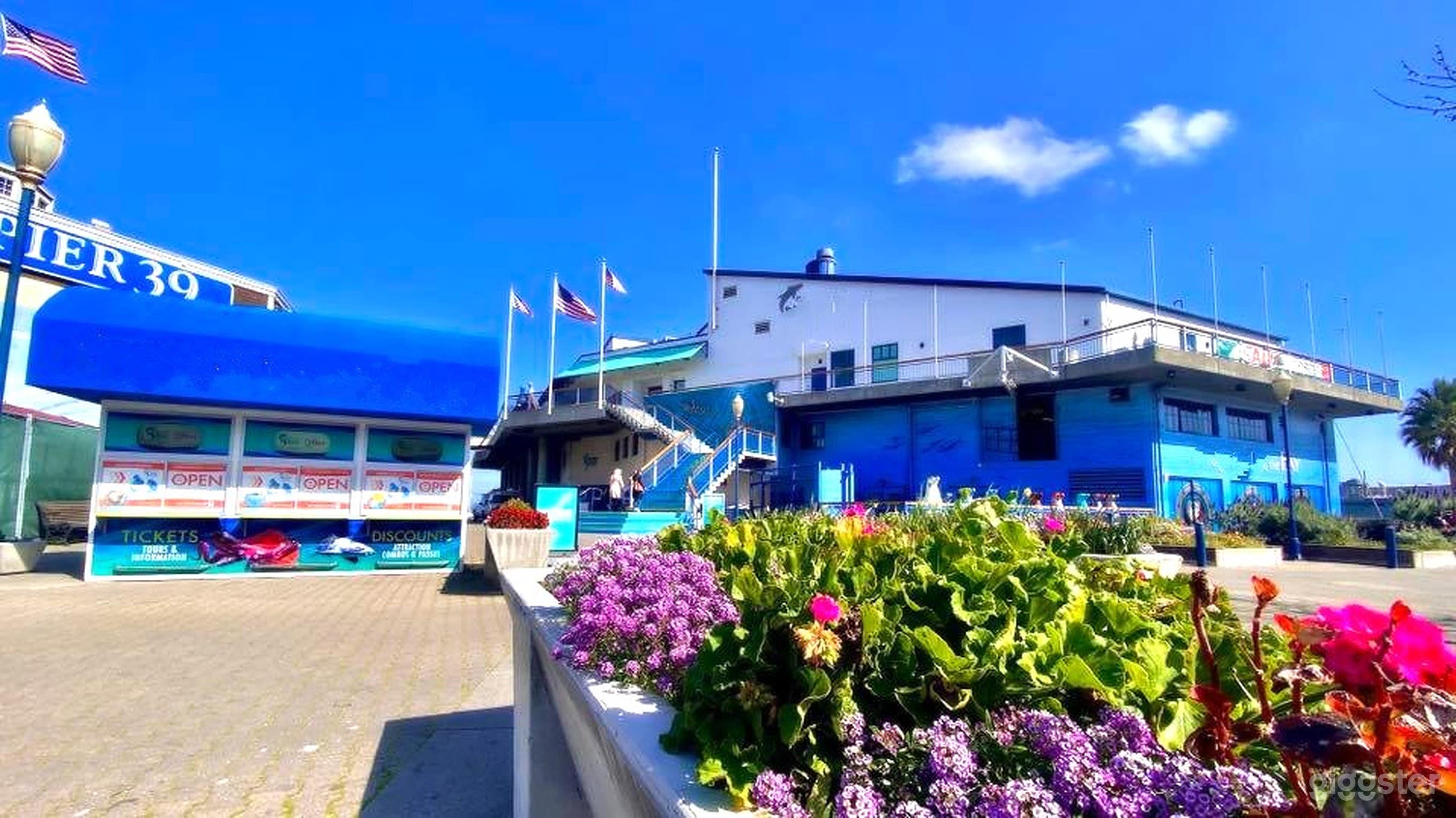 Full Aquarium Buyout Photo 1