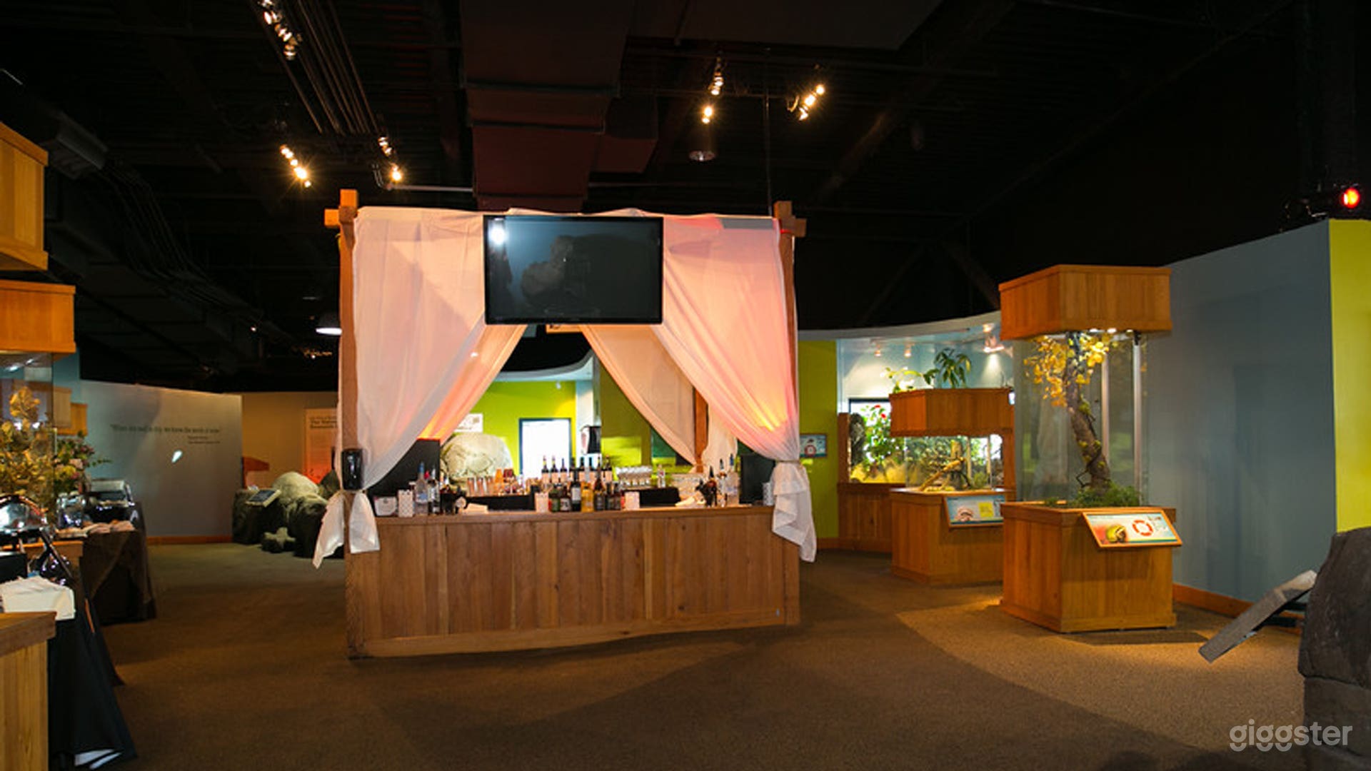 Full Aquarium Buyout Photo 3