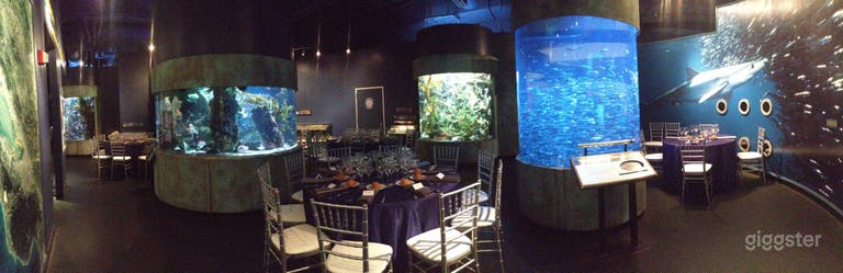  Full Aquarium Buyout 