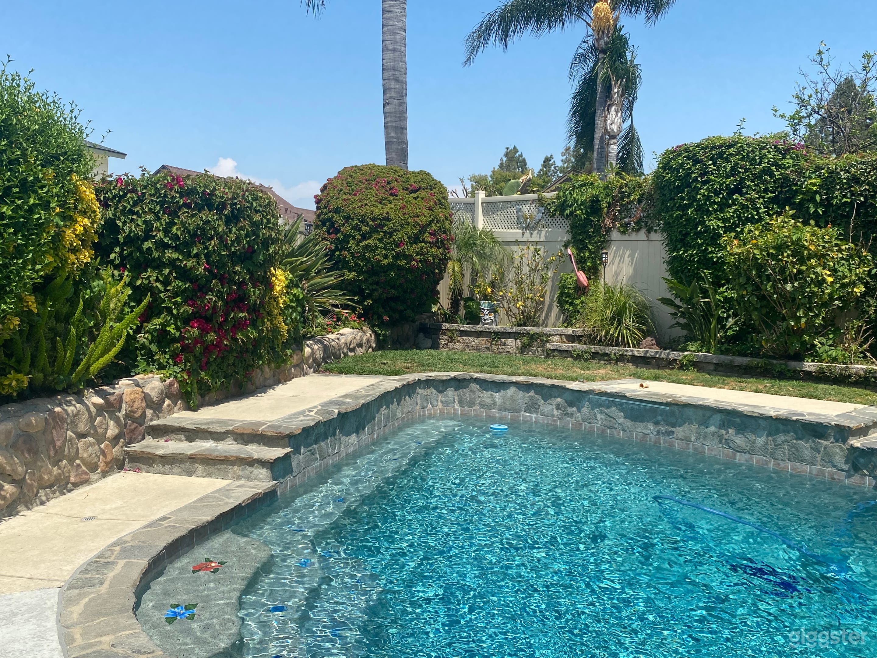 Tropical lush setting. Beautiful yard  Photo 1