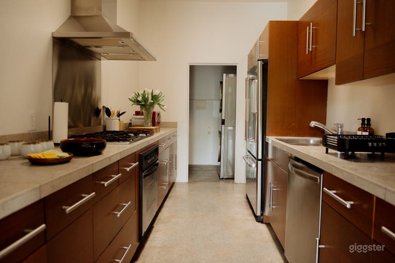  MASSIVE Elegant WeHo Loft 