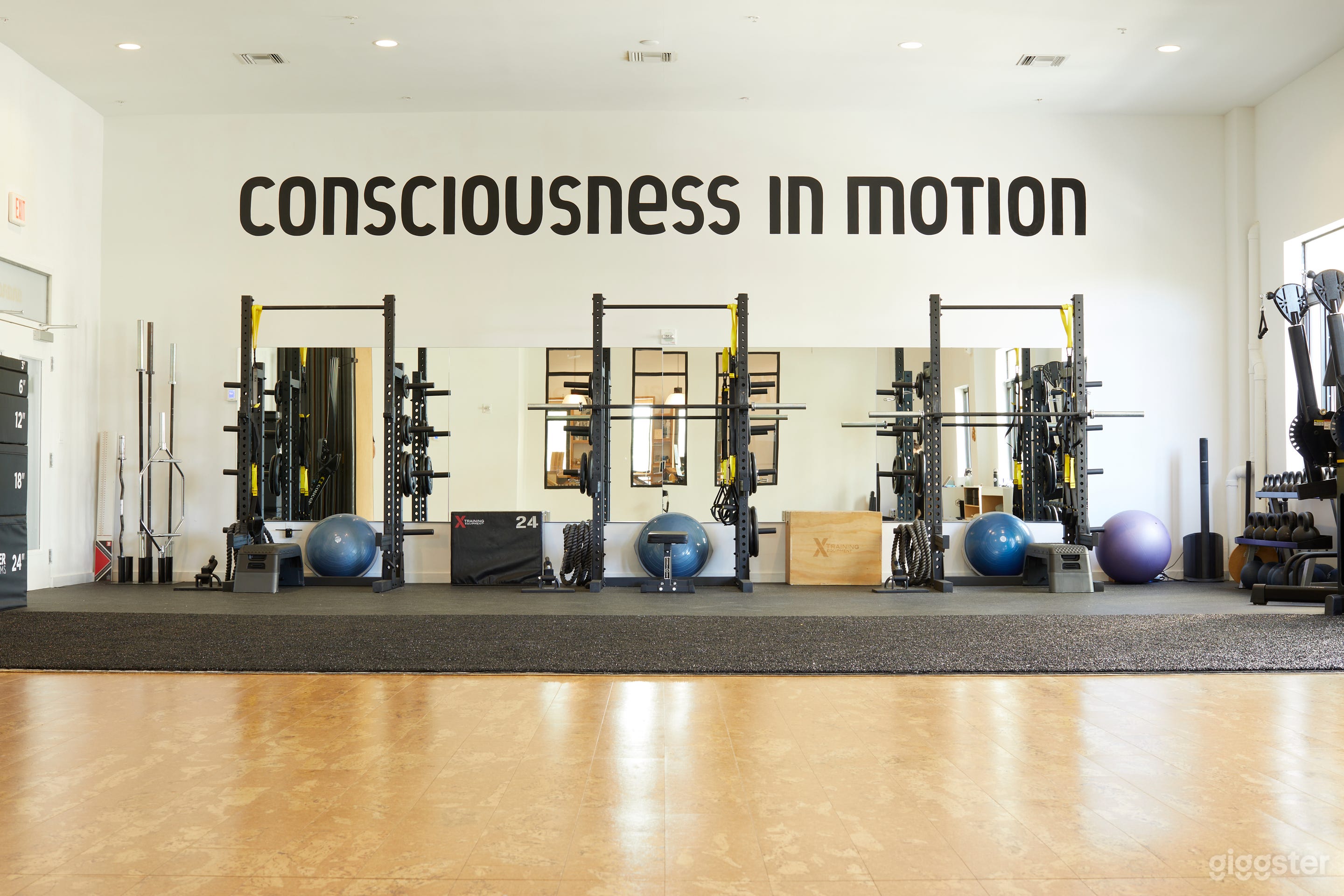 The Training Room is a 910 sq. ft that is part black rubber and black artificial turf and has state of the art training equipment.