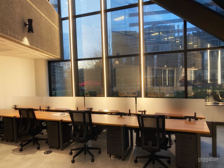  Peachtree Rd view office near  Lenox Mall 