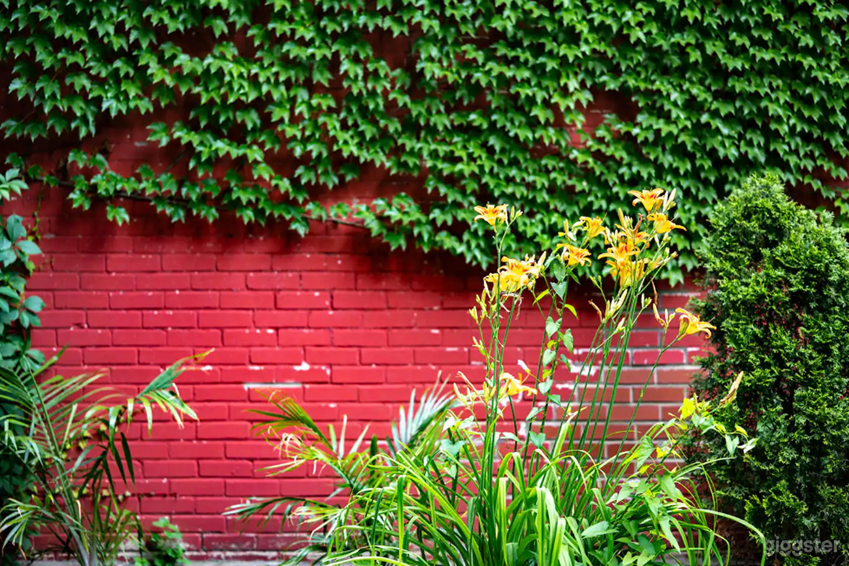 Courtyard with Palm Trees & Lush Outdoor Greenery Photo 4