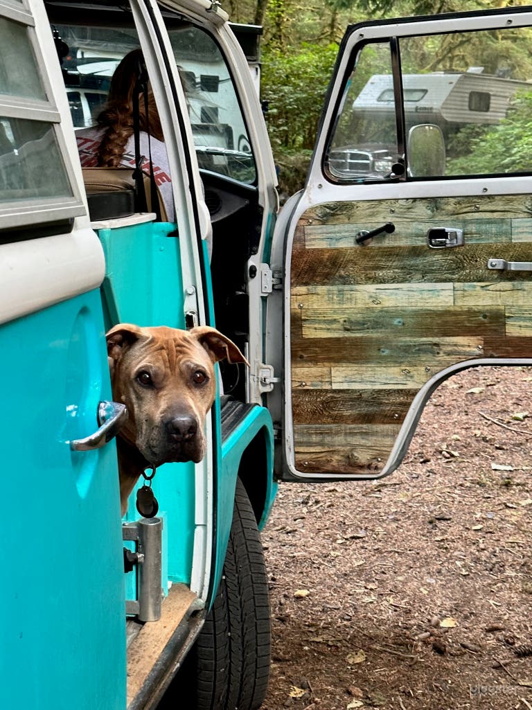  1969 VW Bus Teal and White - Camper Van - Hippy Paradise 