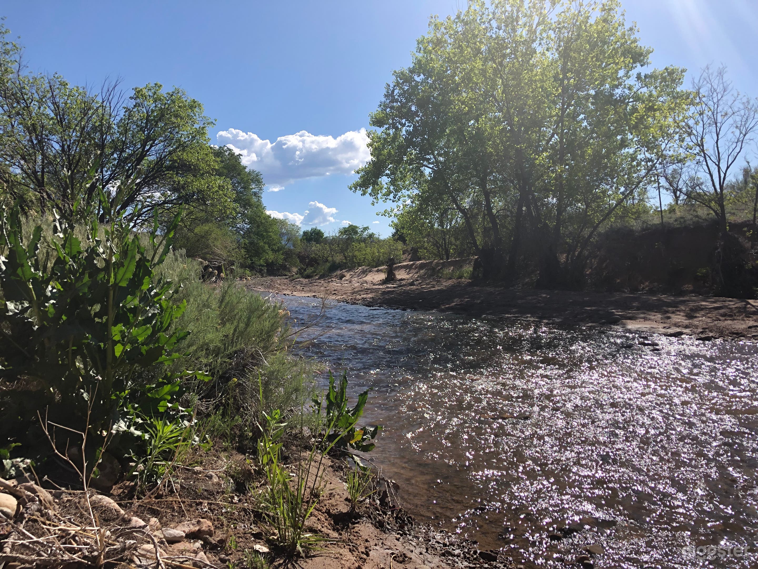 And yet another river shot