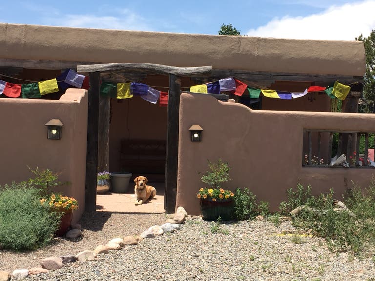  Front of main house...and Jack 