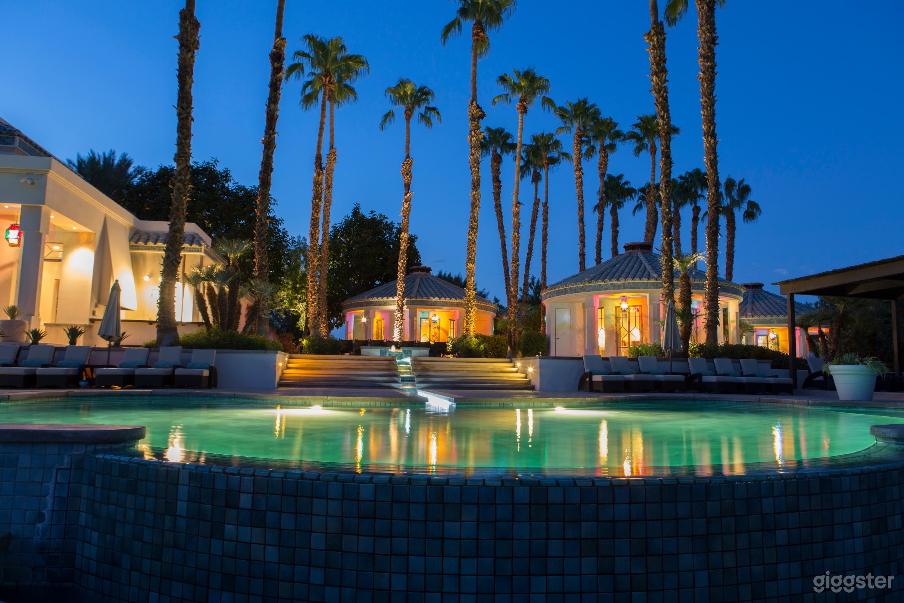 The Desert Griffin Photo 1