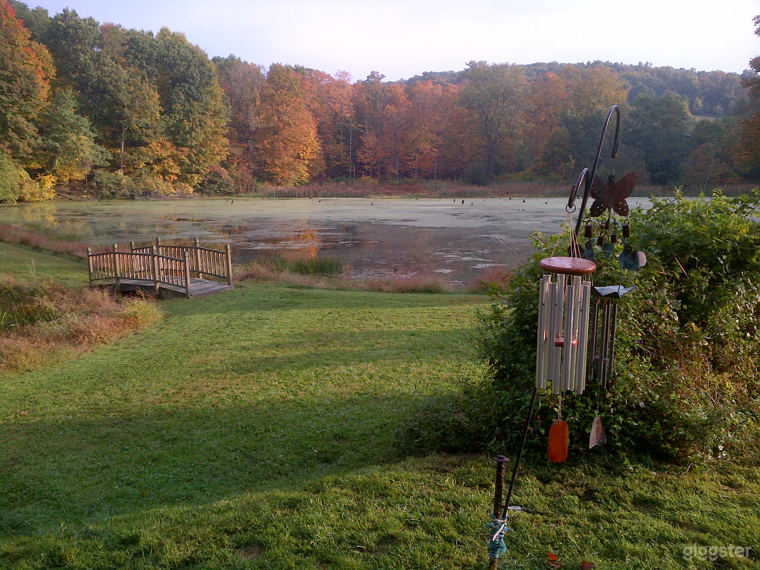 View of one of the ponds