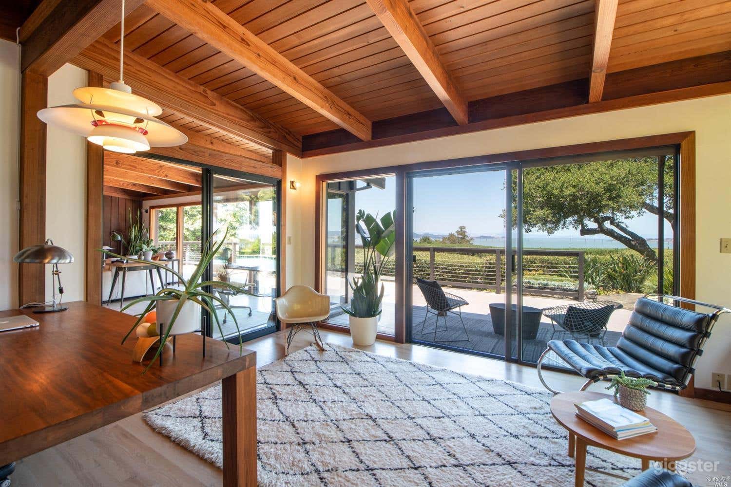 Expansive views from all rooms and original midcentury and design furniture