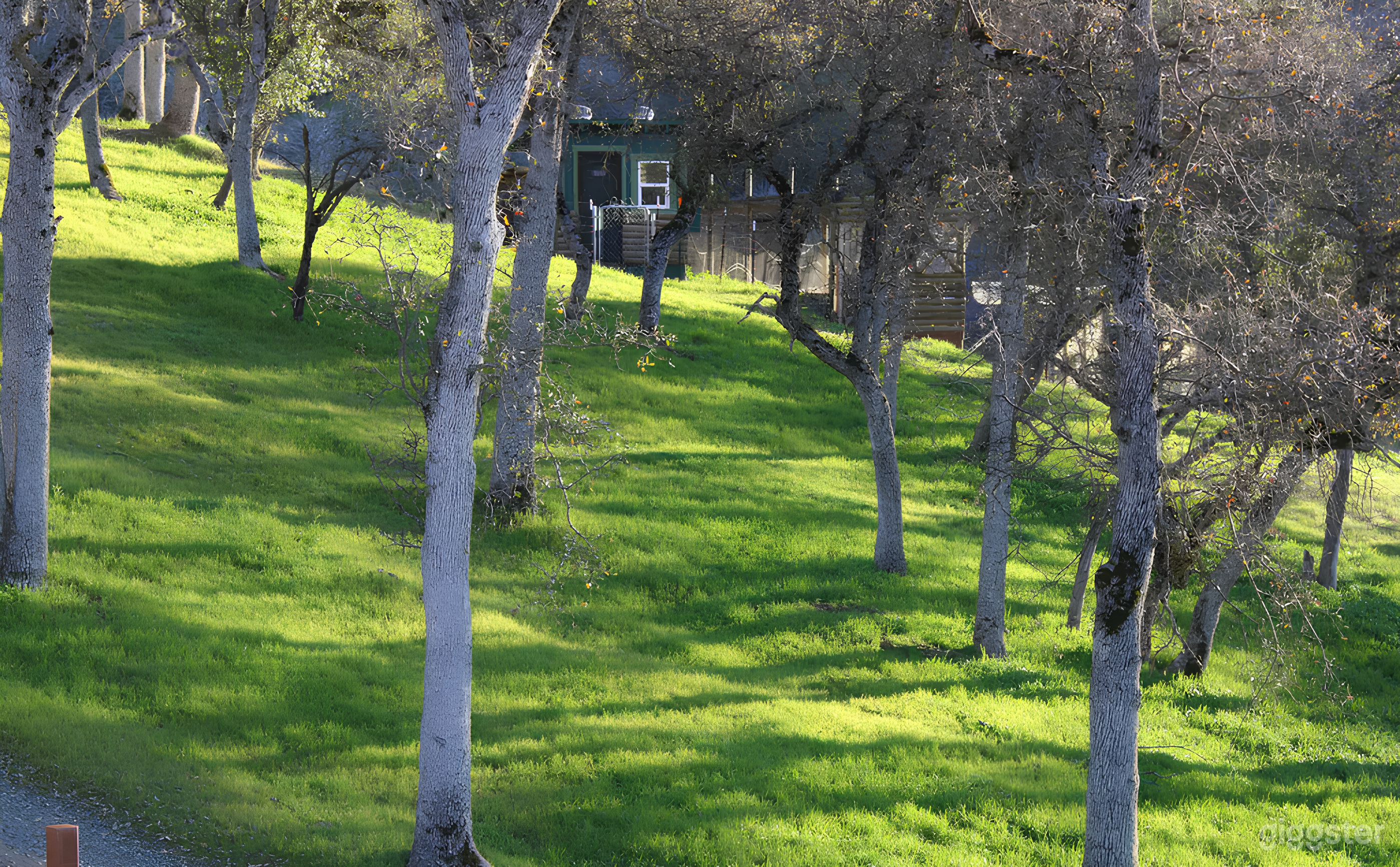 Stunning Outdoor Space on Private 28-Acre Property -Sequoias Photo 1