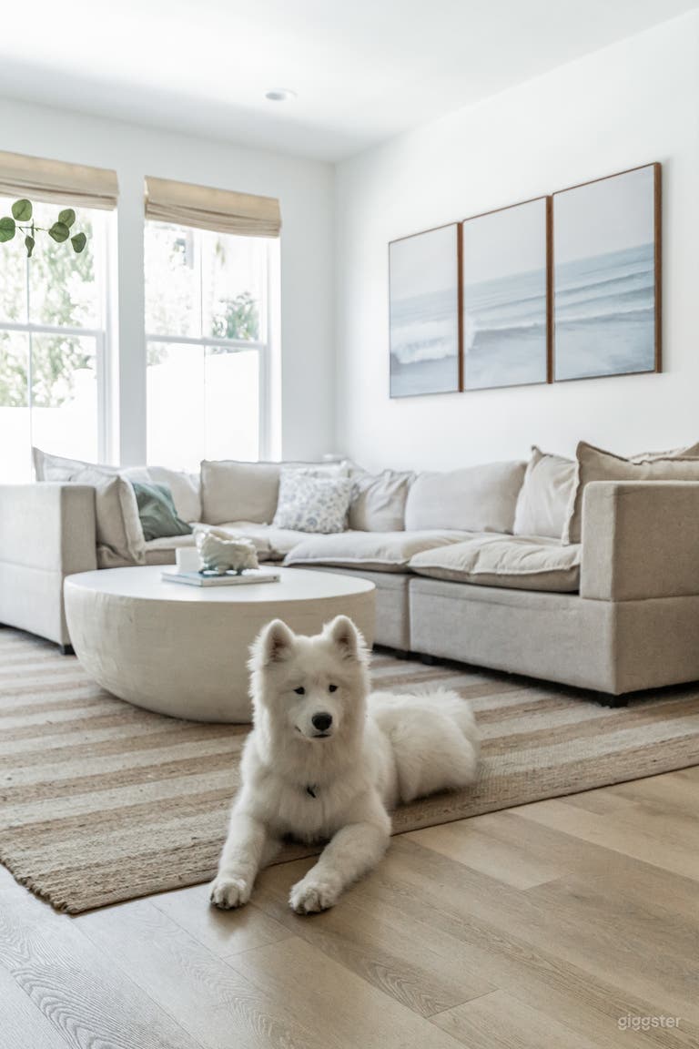  Renovated Coastal House – Open, Light & Film Ready 