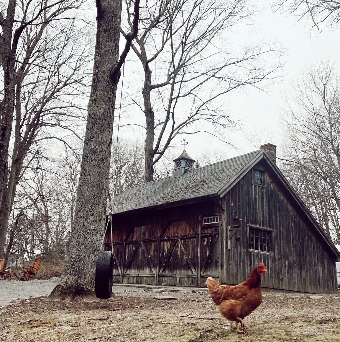 Collective Place for Unique Events Photo 4