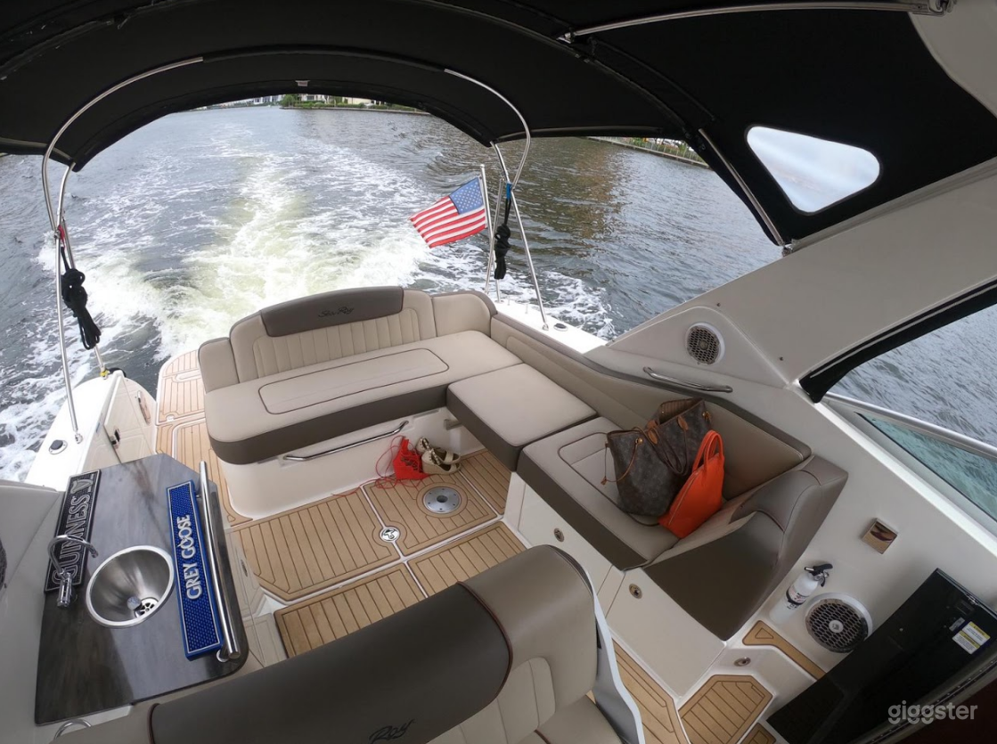 Captivating 35FT Sea Ray Marina Party Boat Space Events Photo 4