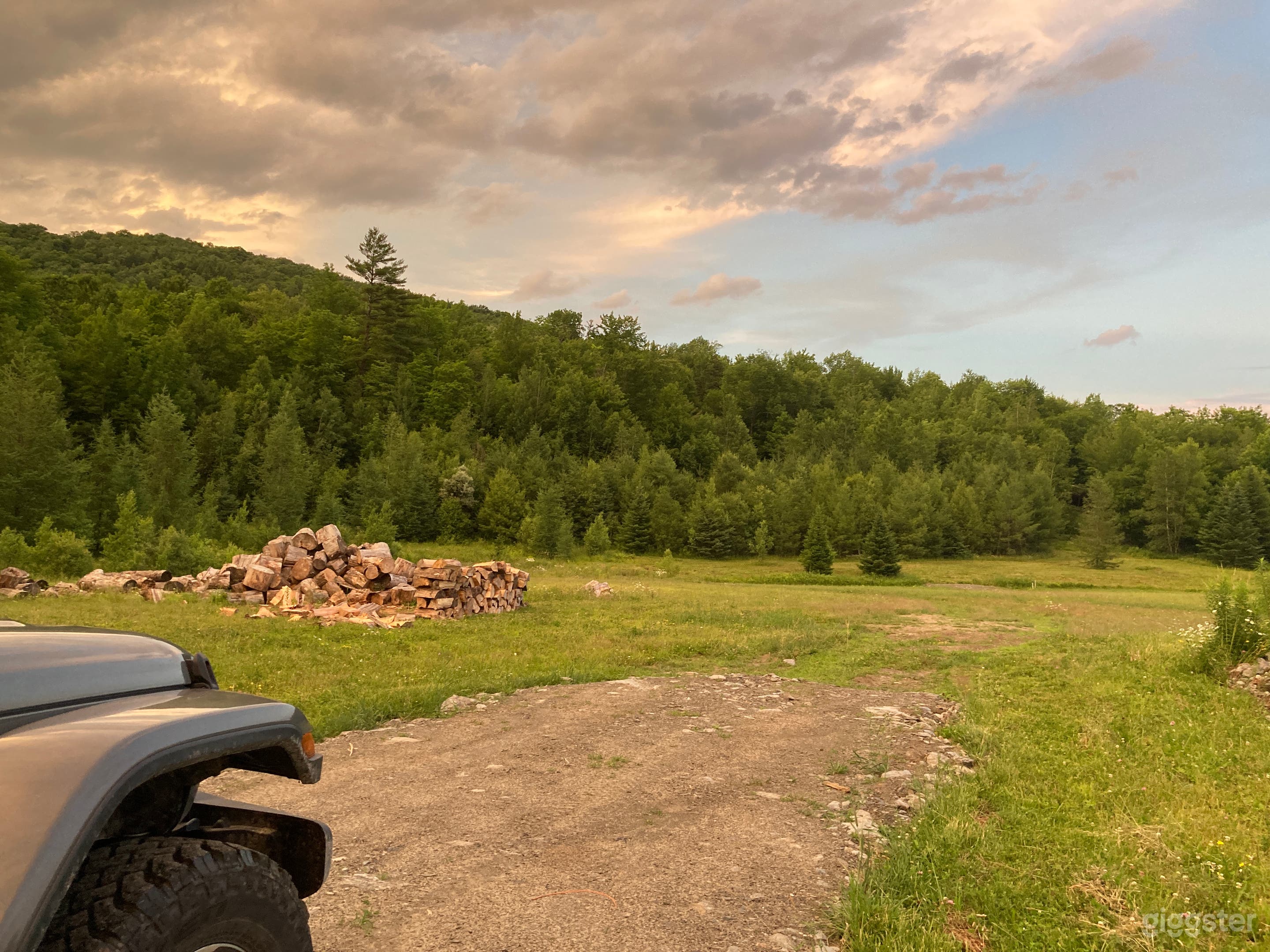 Log piles in meadow (can be removed)