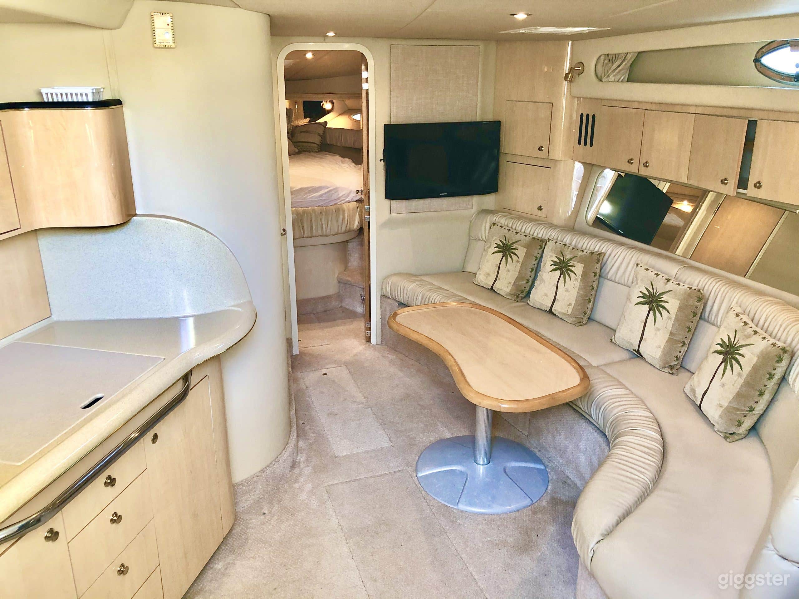 46ft Fun Party Cruiser (NO PLANS) Photo 3